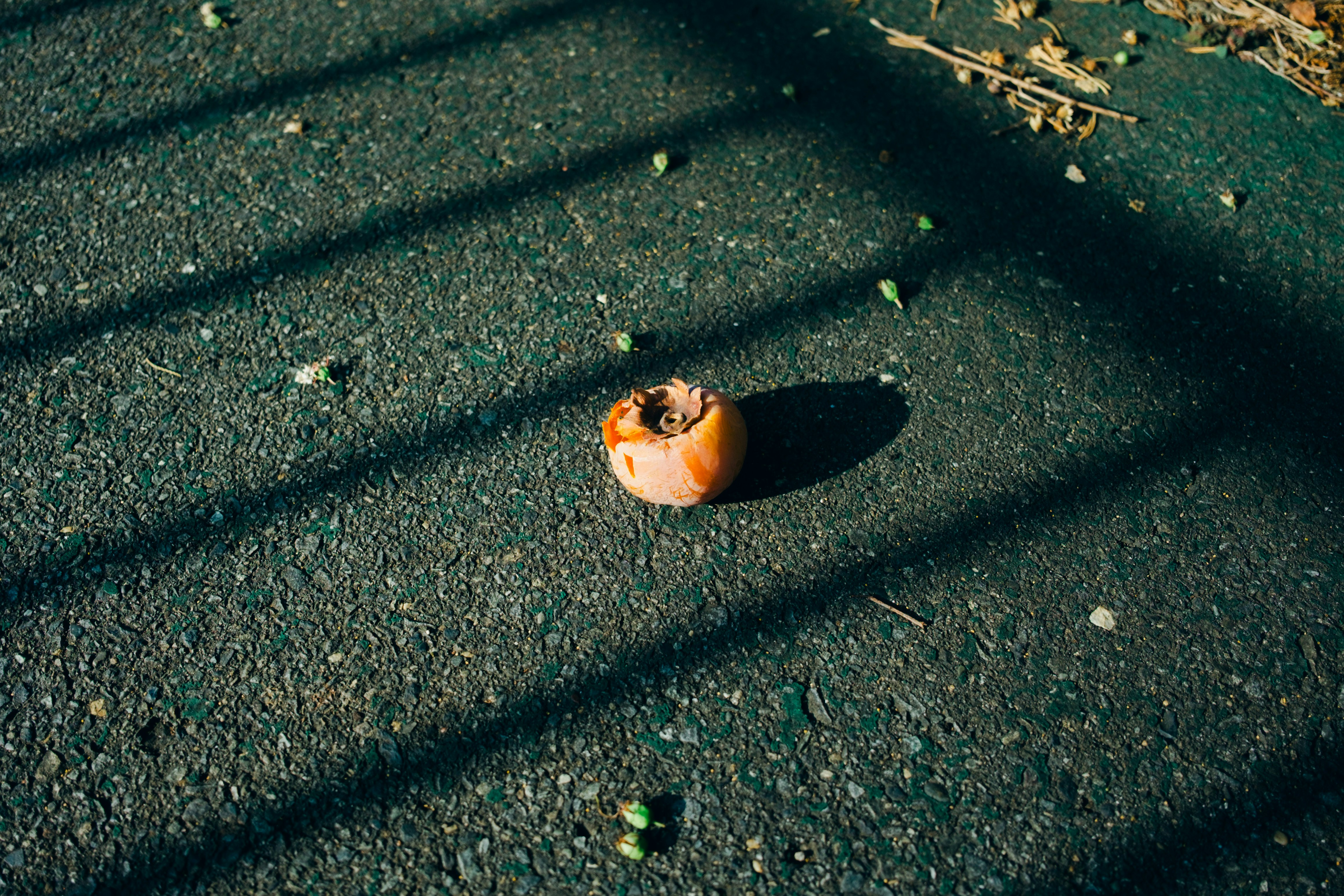 orange fruit fallen on asphalt pavement