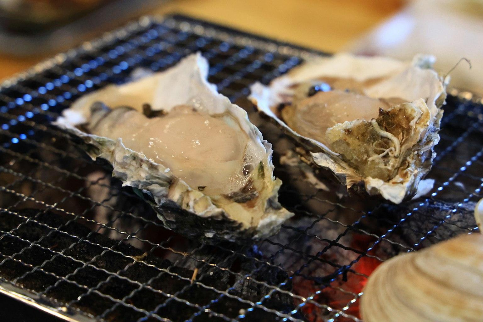 Gegrillte Austern auf einem Kohlegrill