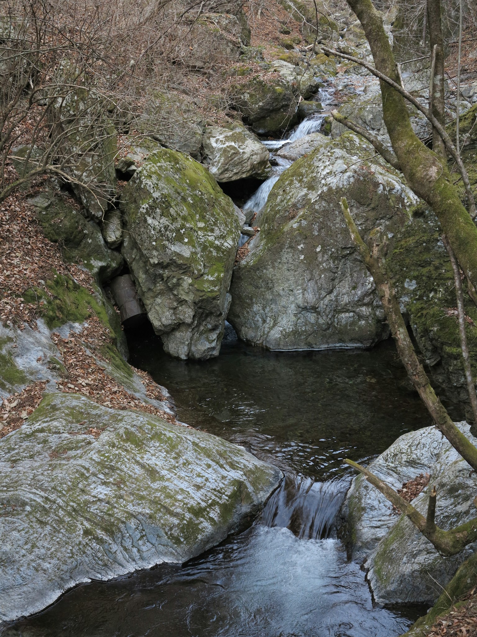 Un ruisseau serein coulant entre des rochers couverts de mousse