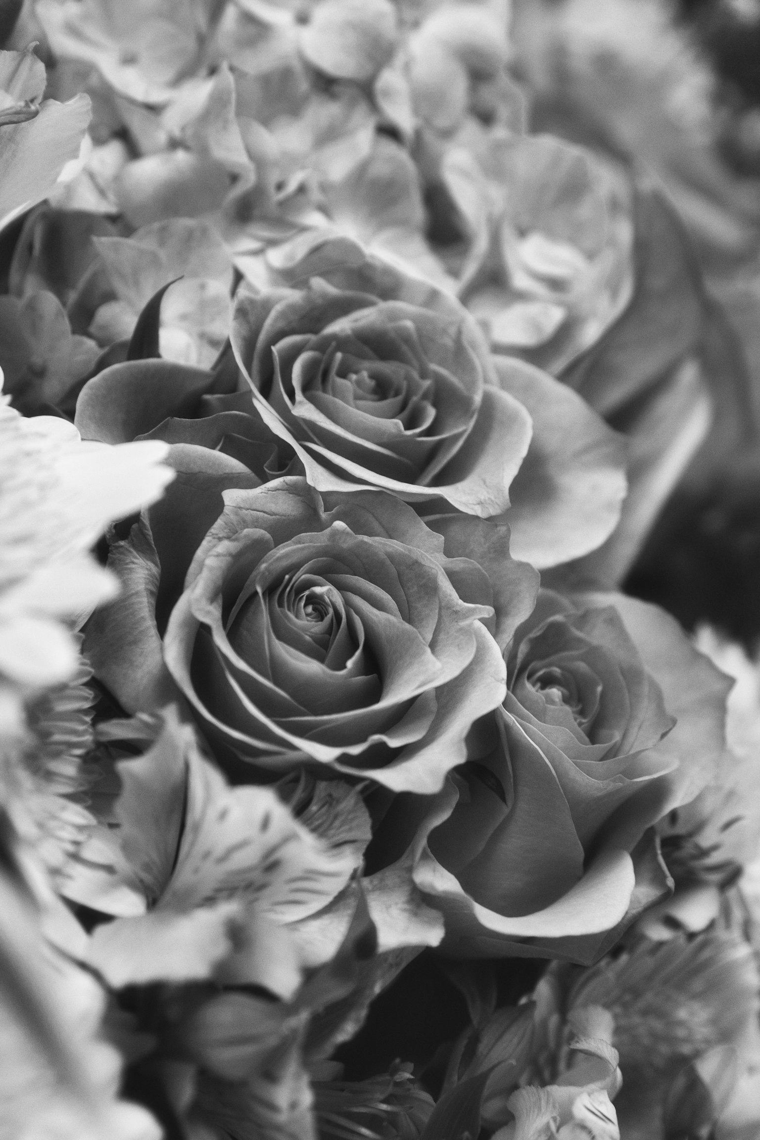 Primo piano di un bouquet di rose in bianco e nero