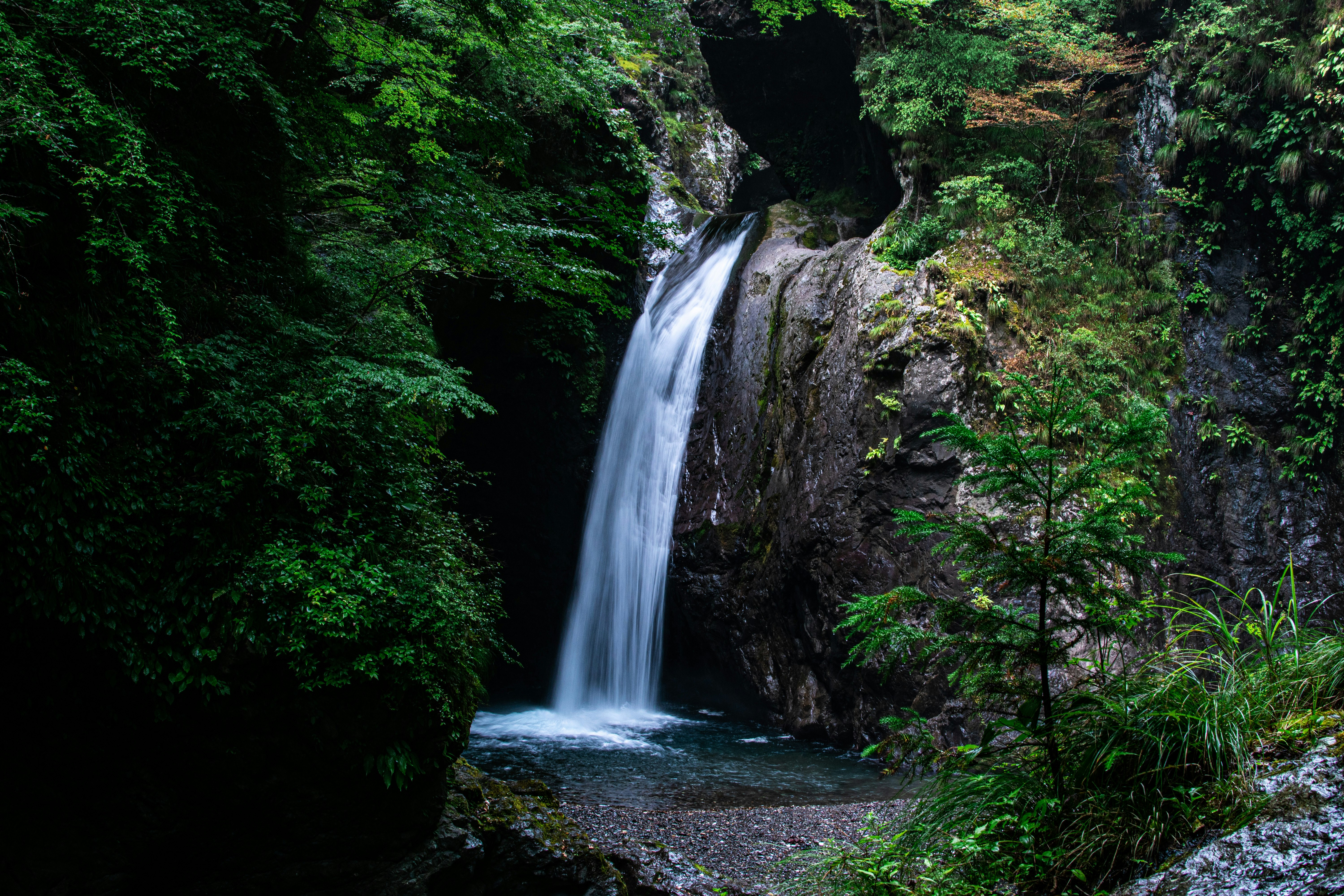 深い森に囲まれた滝の流れ