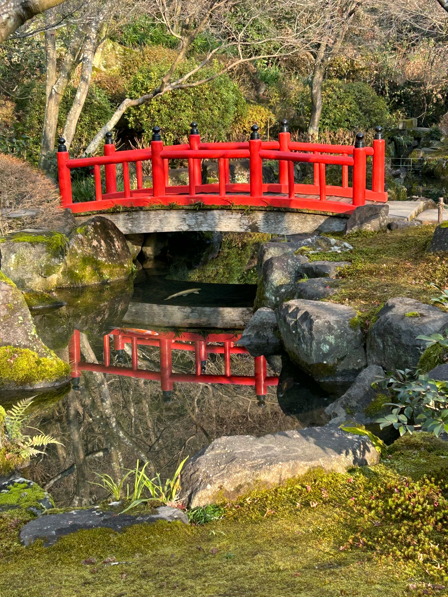 Jembatan merah yang memantul di kolam dalam taman Jepang
