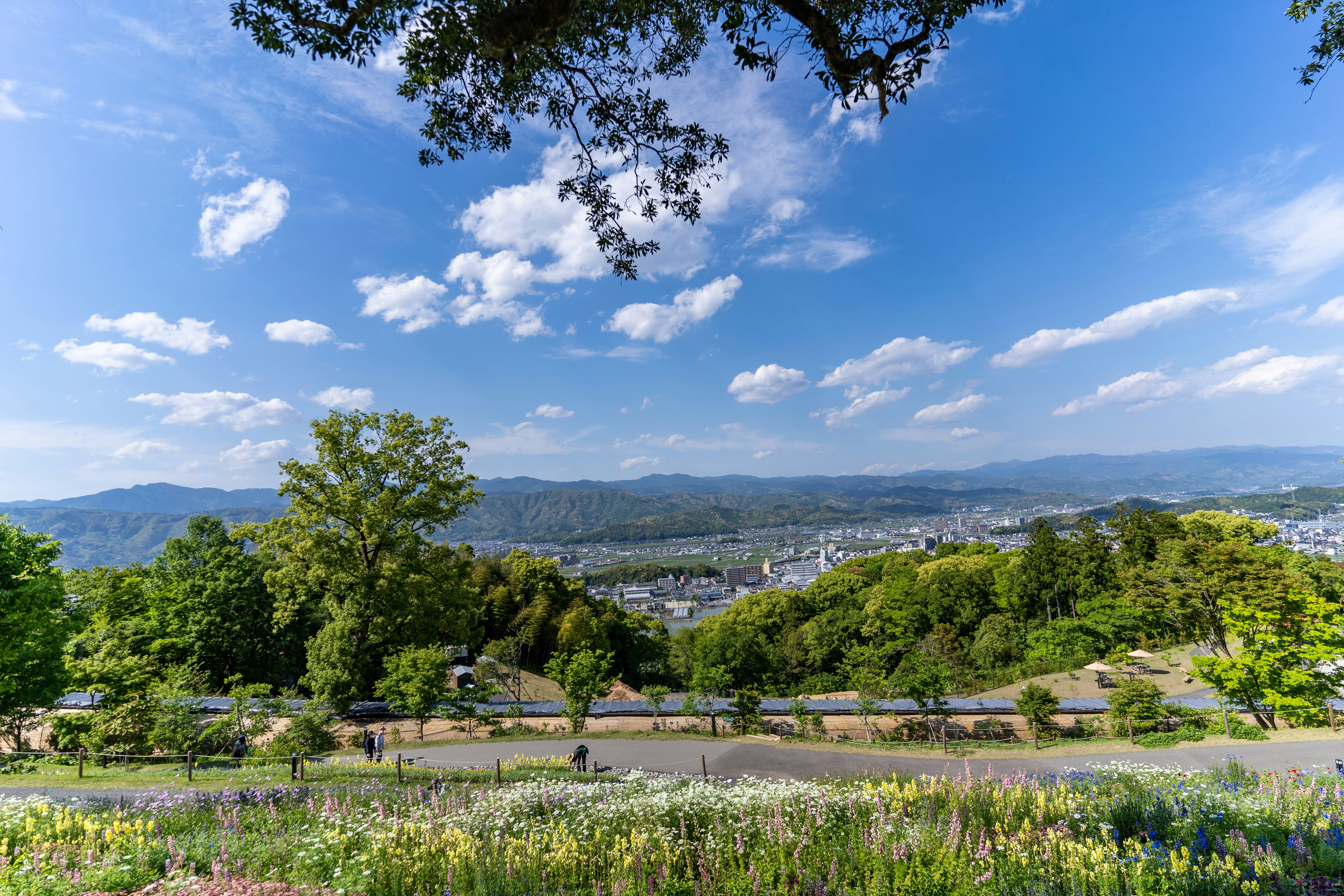 川沿いの緑と花畑、遠くに街並みが広がる景色
