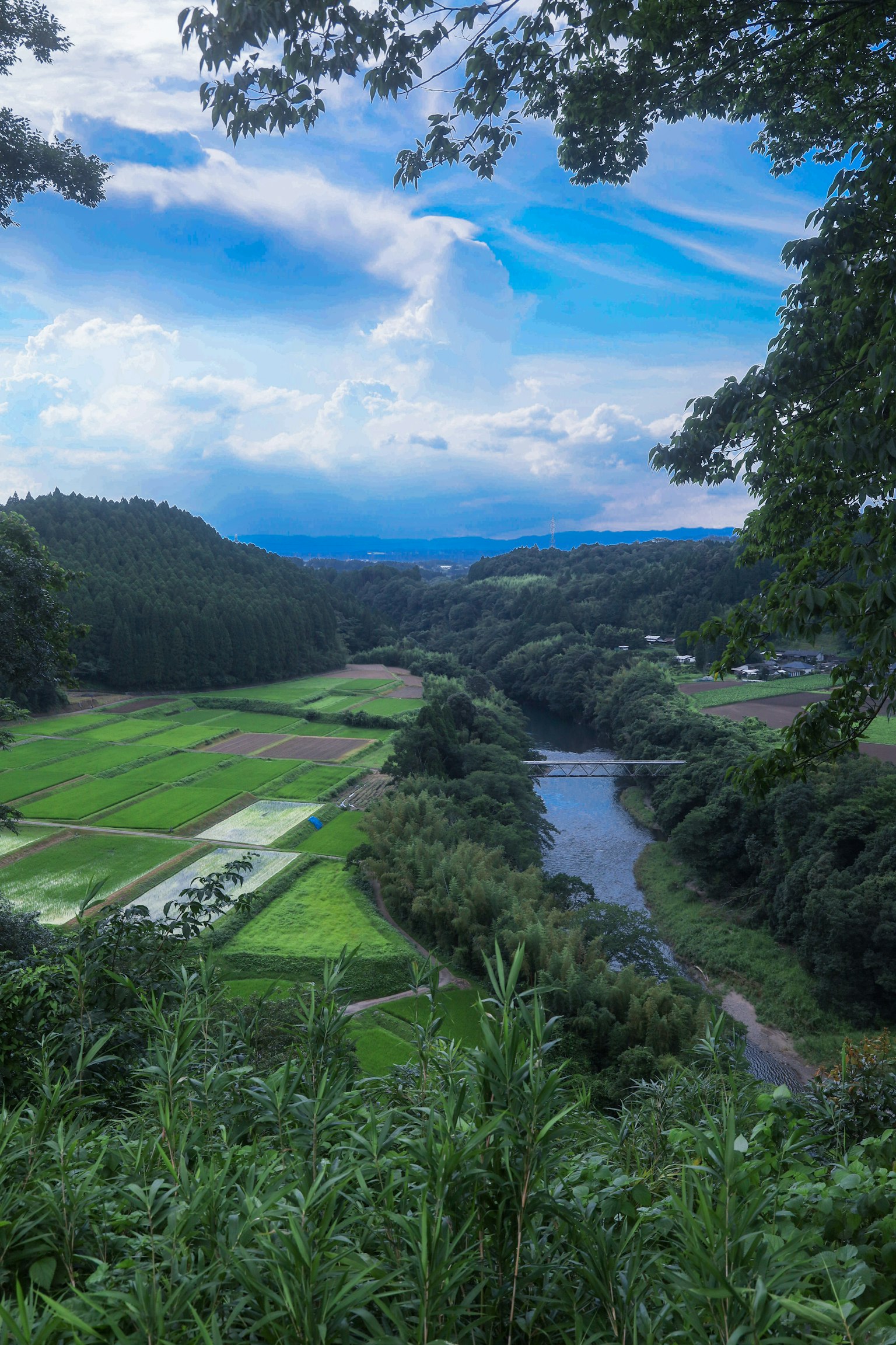 鄉村景觀的全景，藍天和白雲，特色是綠色稻田和流動的河流
