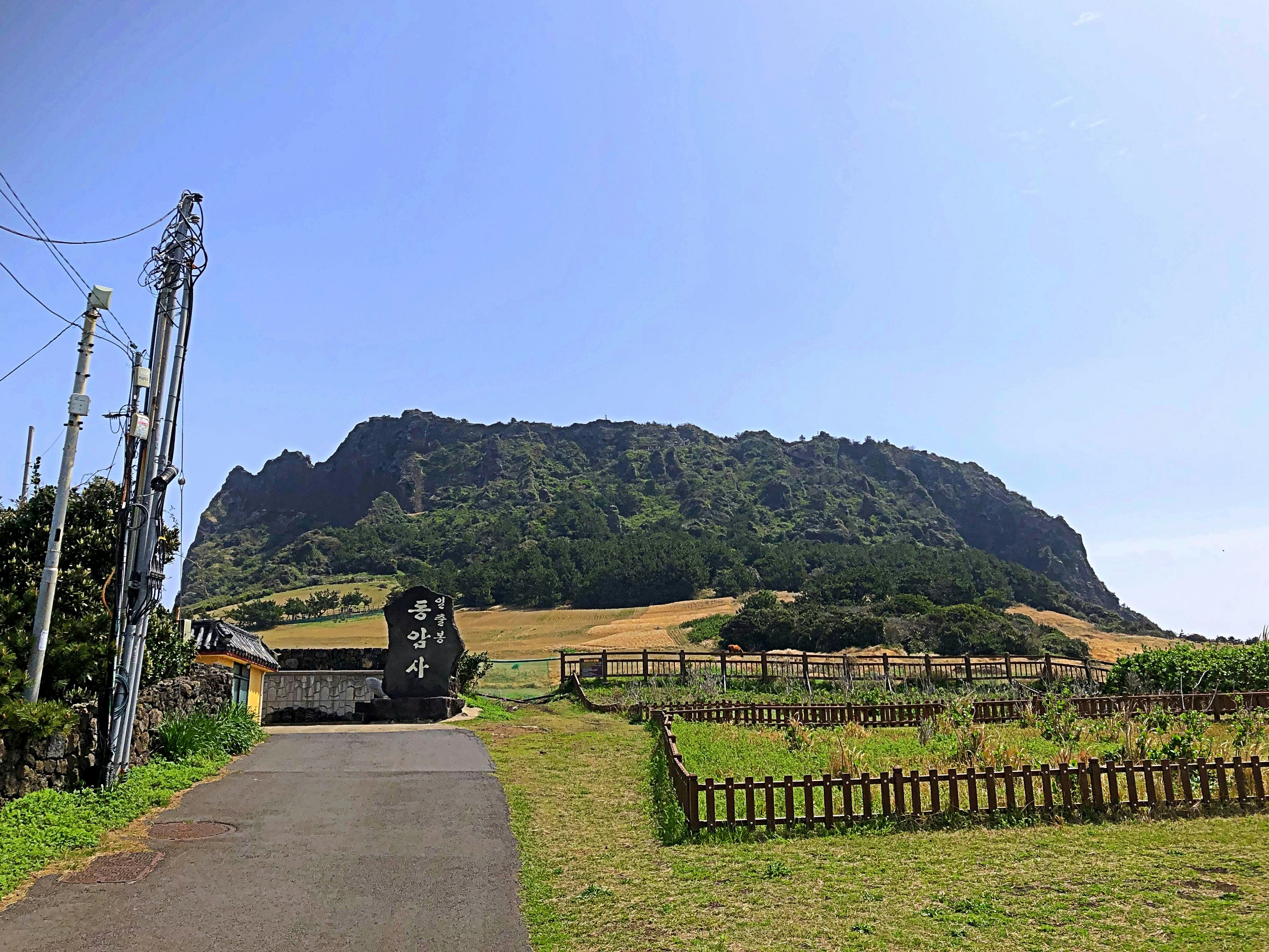 山の麓に続く農道と柵、畑の風景