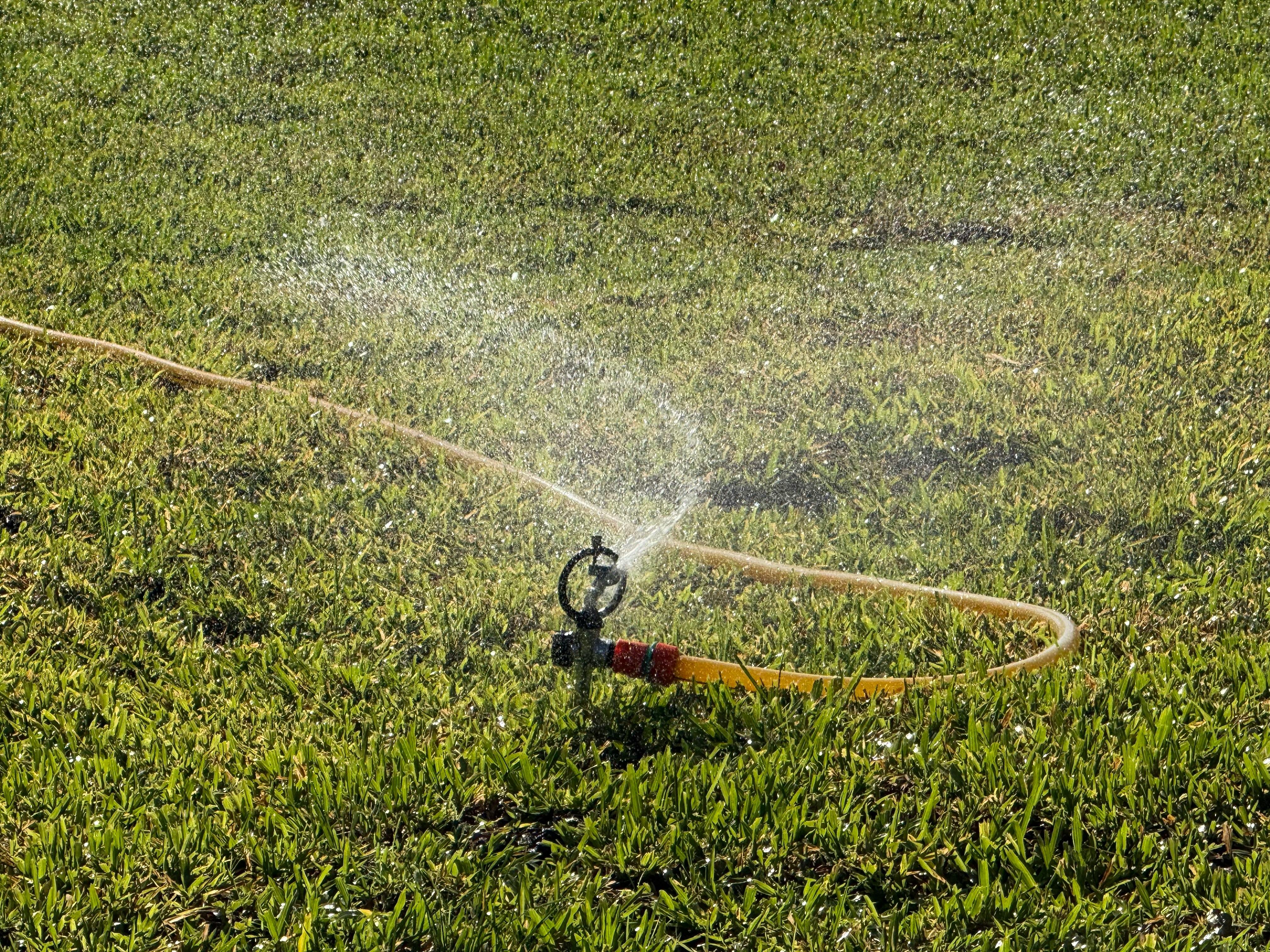 噴頭向綠色草坪噴水