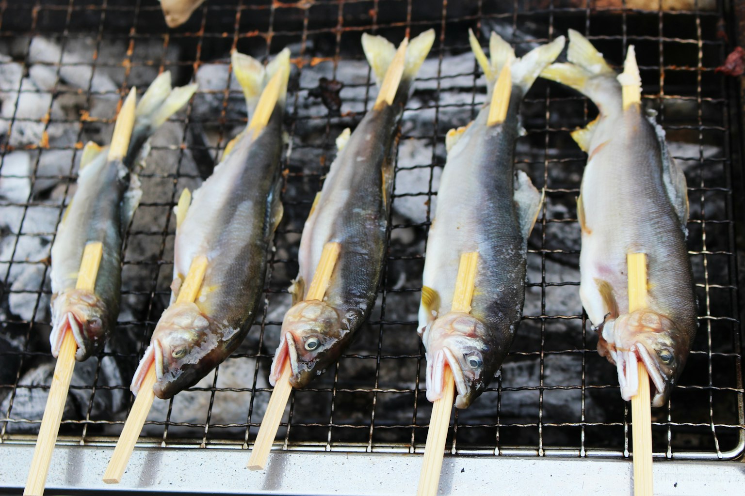 Gegrillte Fische, die auf Spießen auf einem Grill angeordnet sind