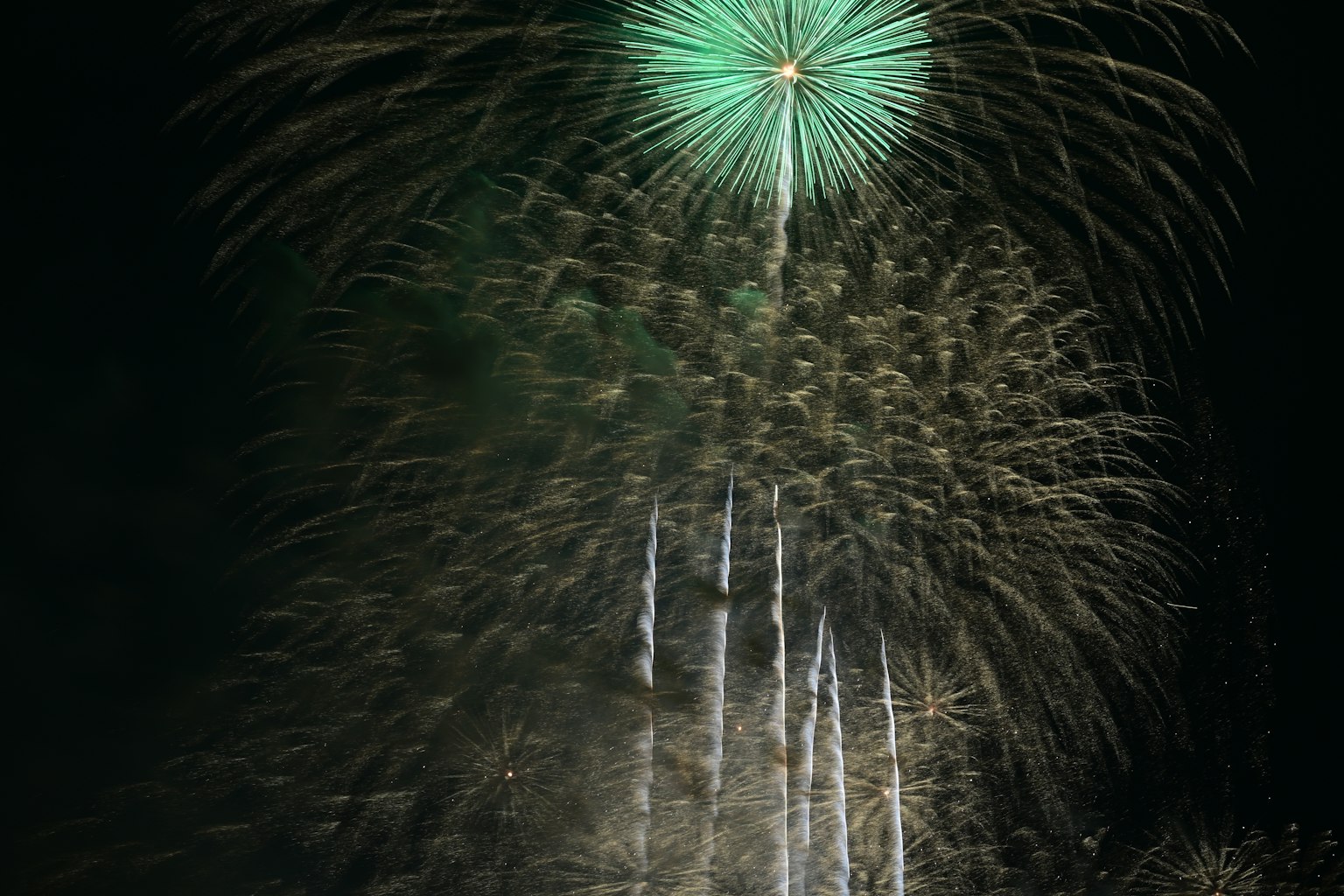 Feux d'artifice verts éclatant dans le ciel nocturne avec des étincelles dorées