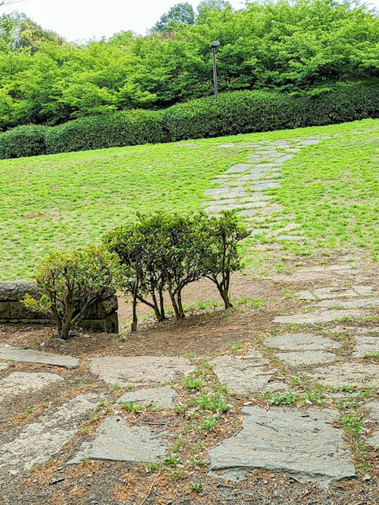 Pathway made of stones winding through green grass with low shrubs nearby