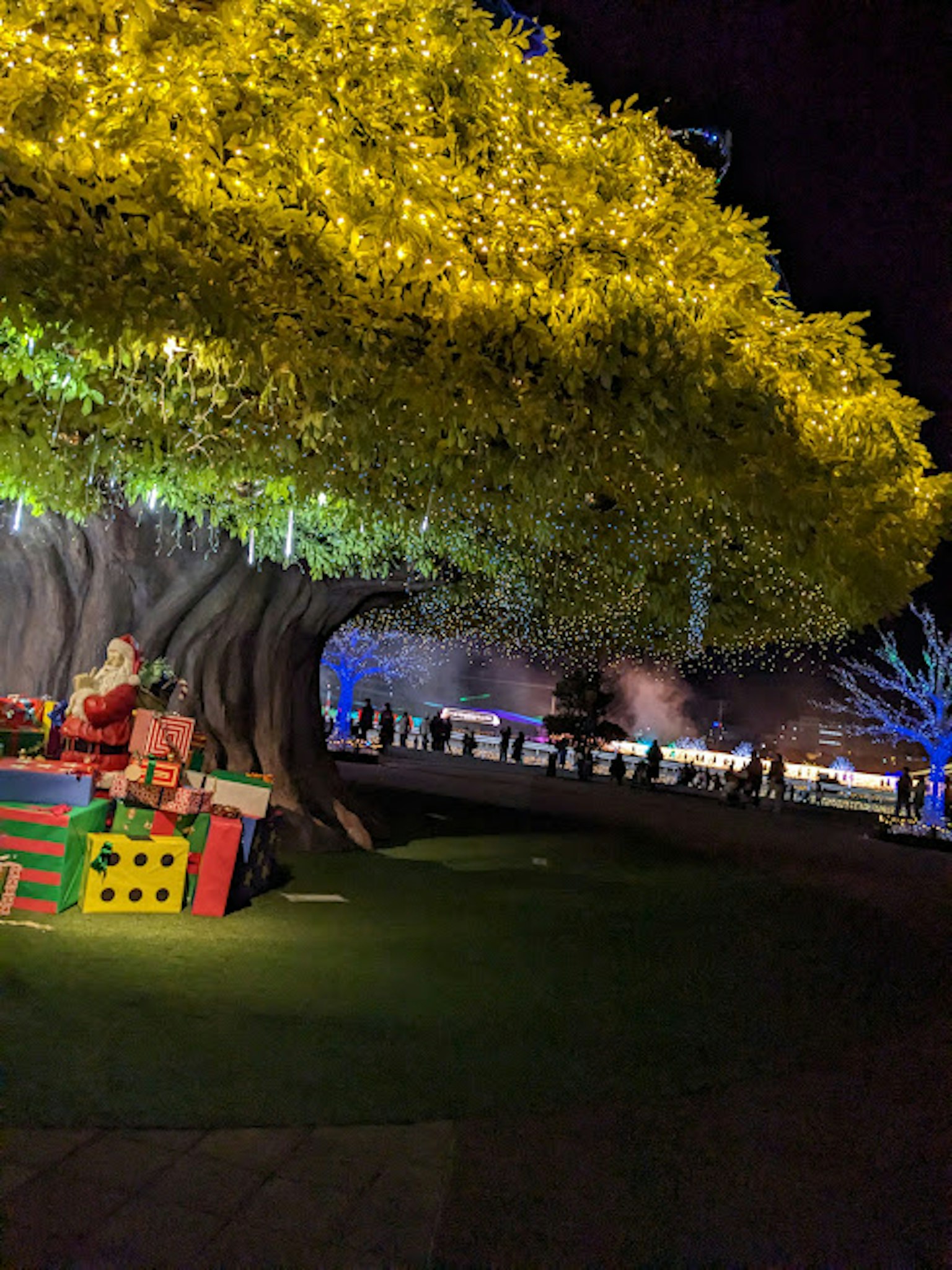 Un grande albero illuminato di notte con regali colorati