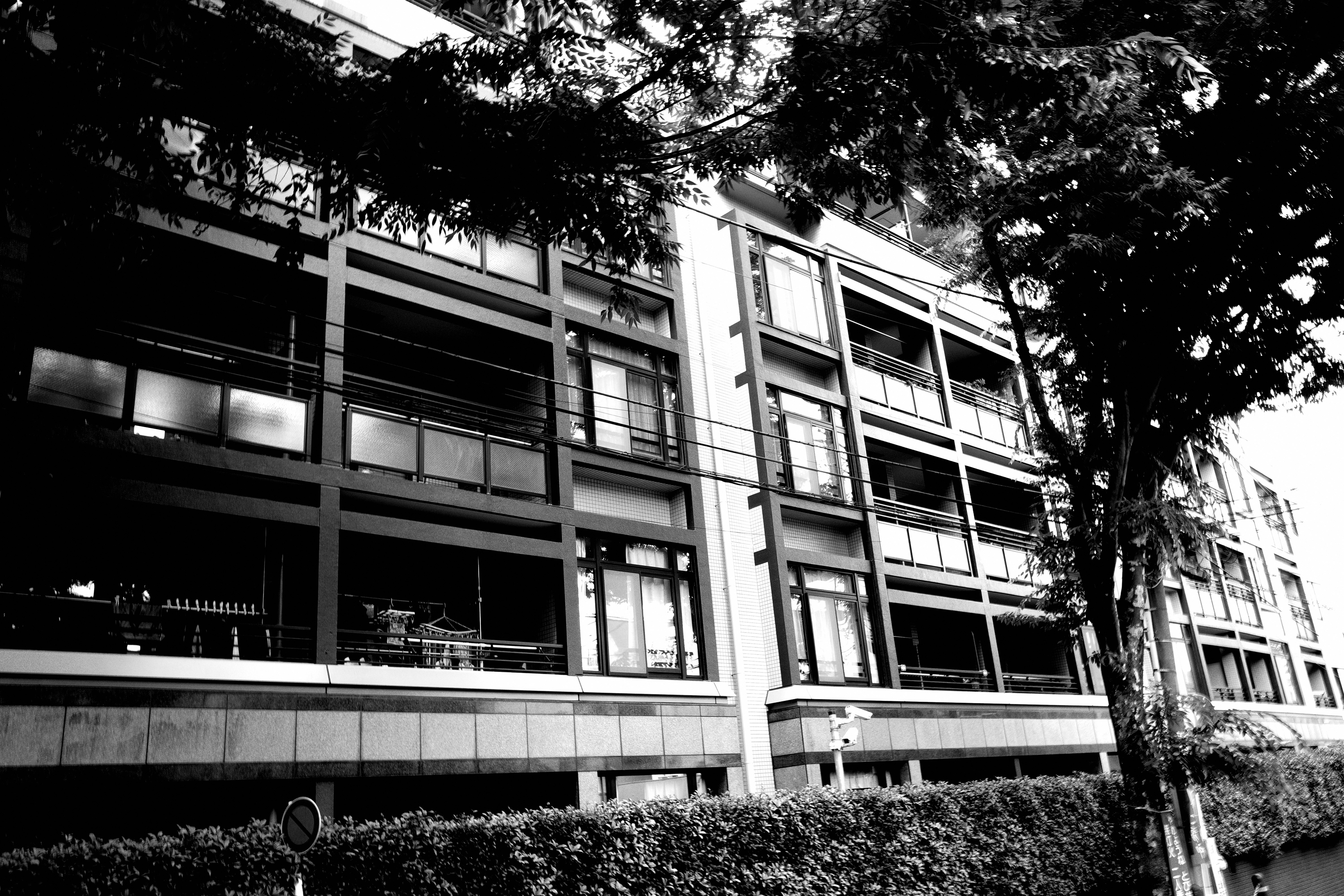 pemandangan dari bawah ke fasad gedung modern di sepanjang jalan berpepohonan