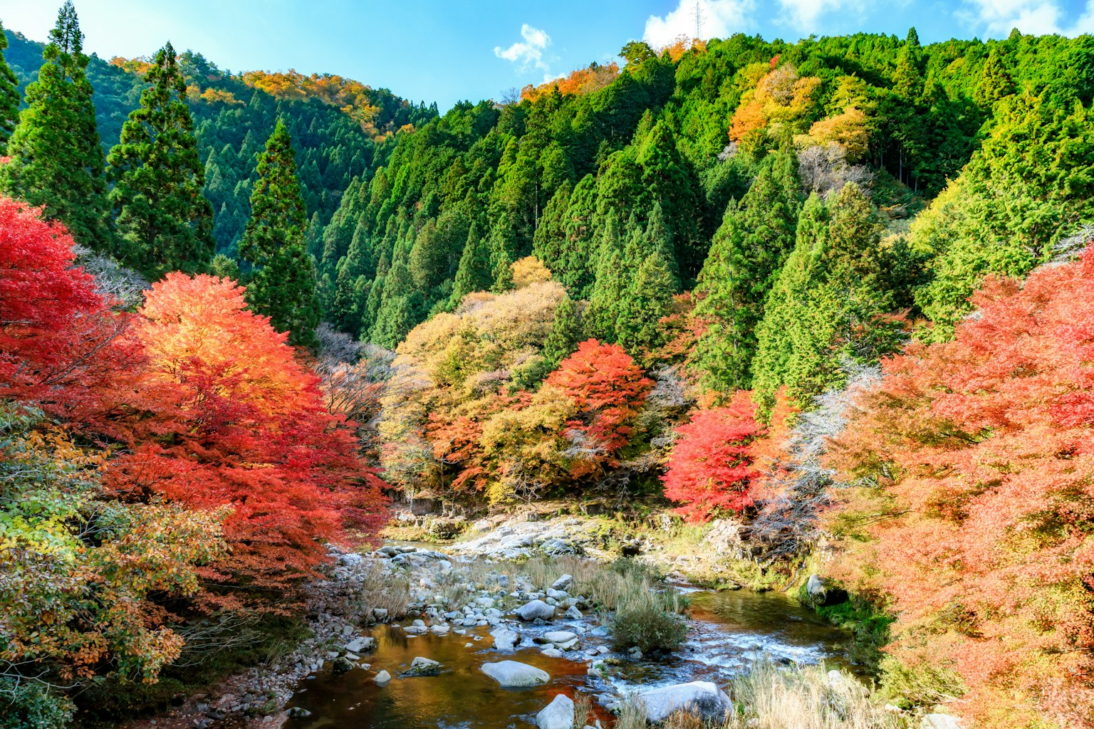 Hermoso paisaje otoñal con árboles verdes y hojas rojas y naranjas vibrantes a lo largo de un río
