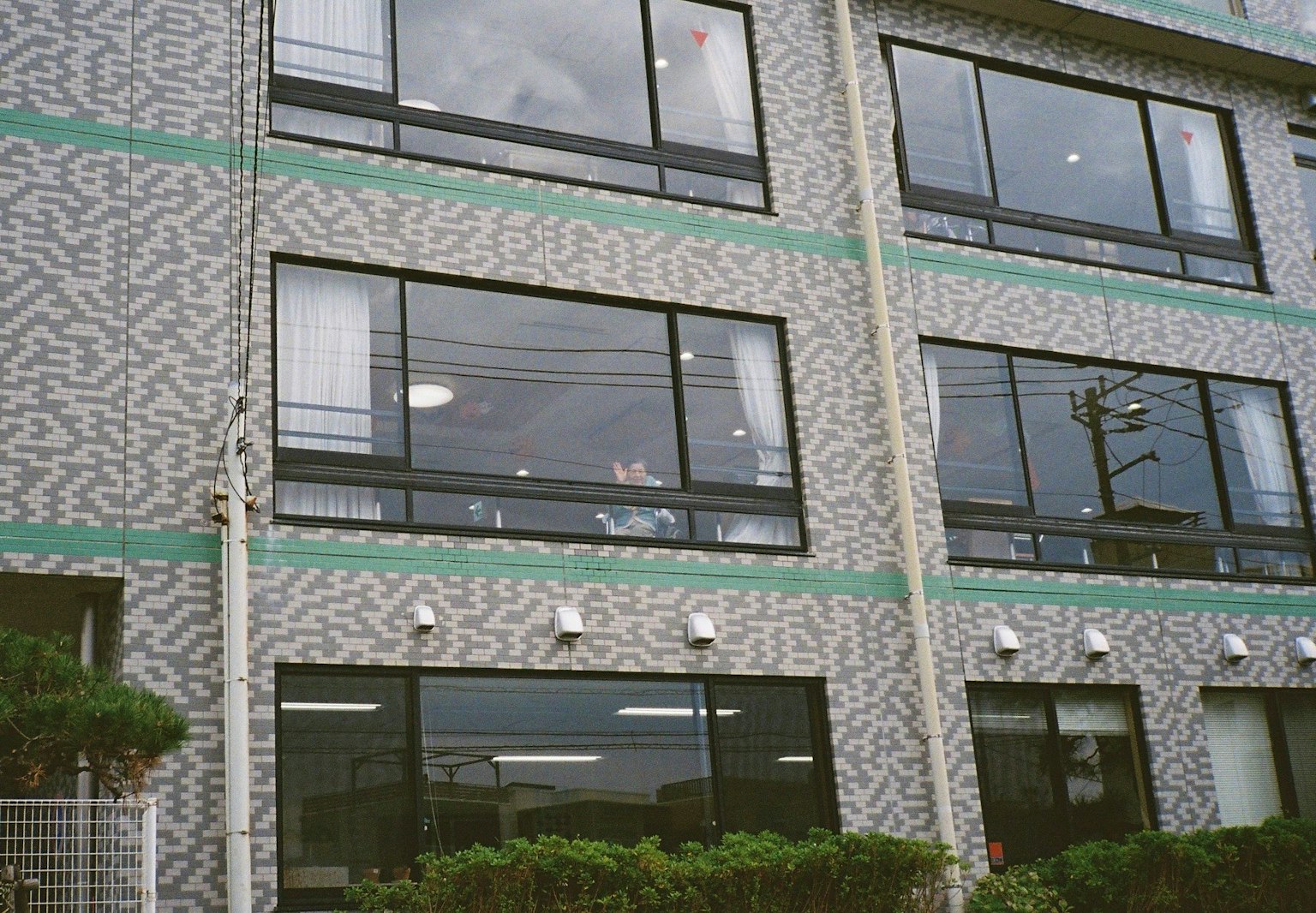 緑のストライプが特徴の建物の外観 窓から見える室内の様子