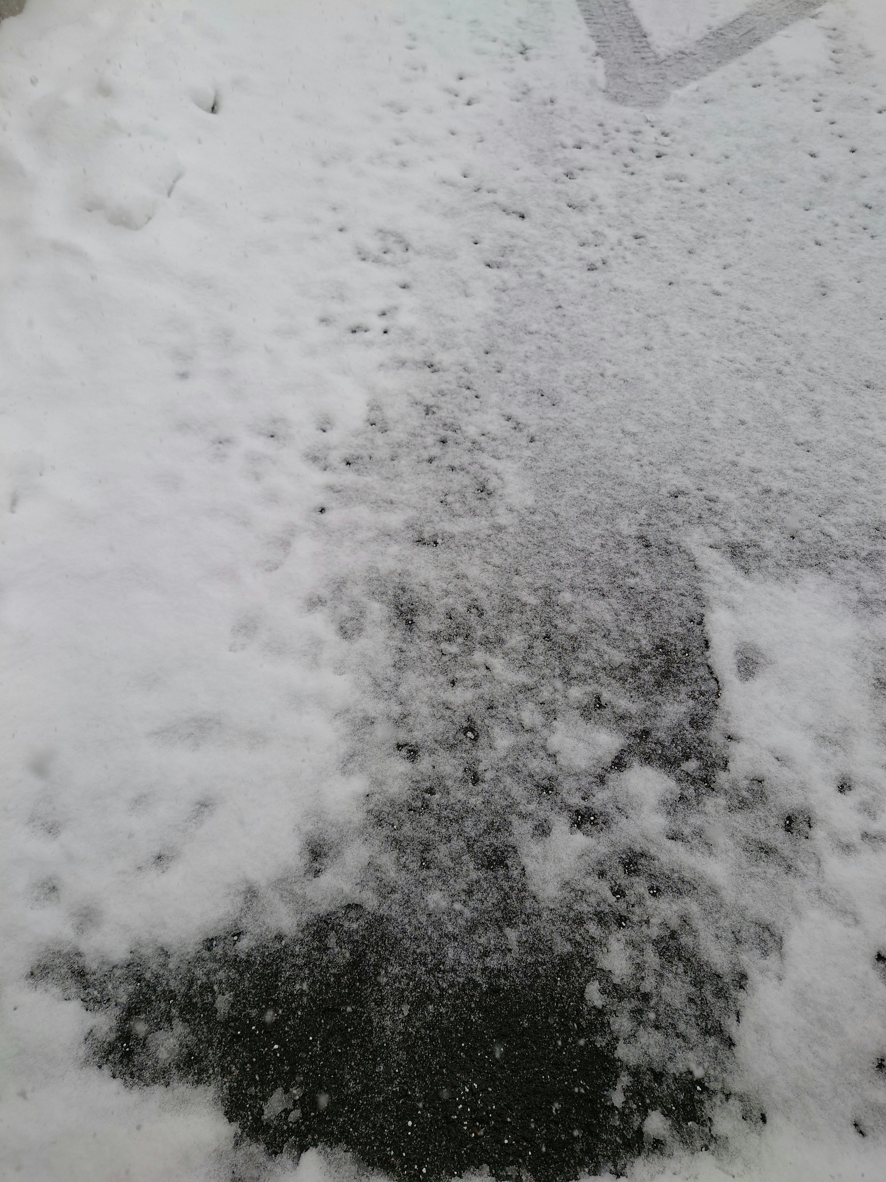 雪地上带脚印的地面