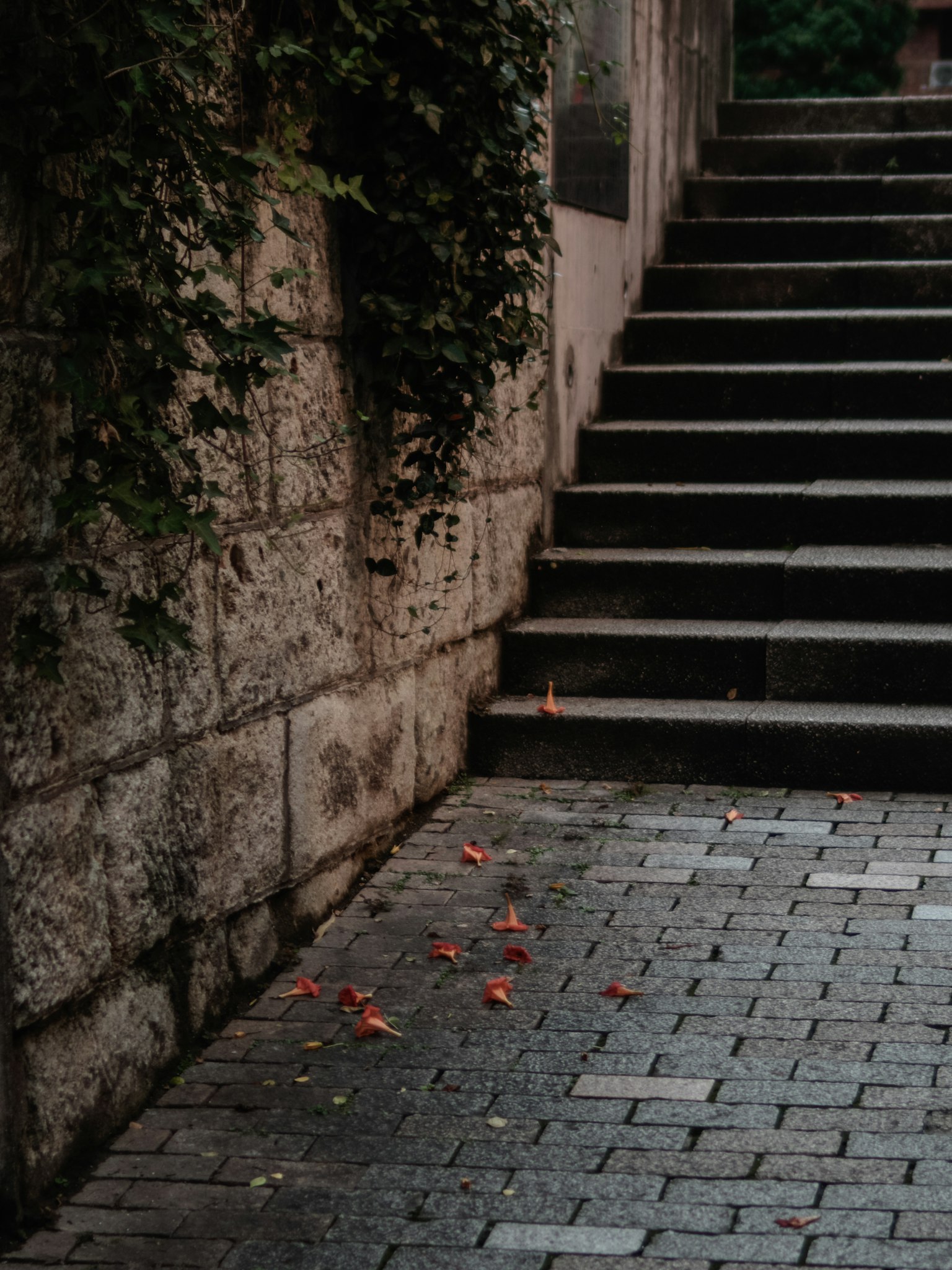 Pathway with stone wall and stairs featuring scattered red petals