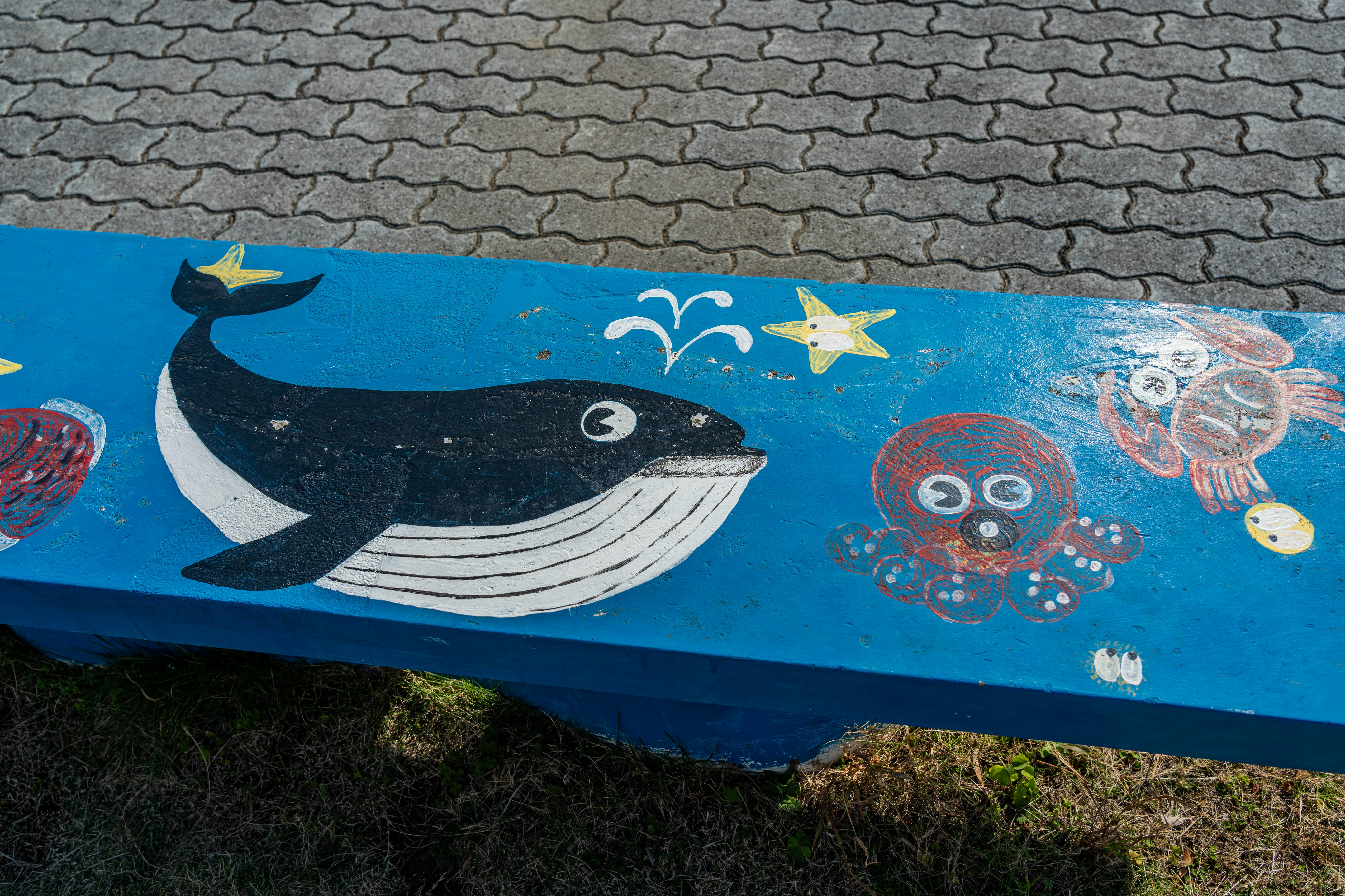 murale blu con una balena e stelle, motivi marini