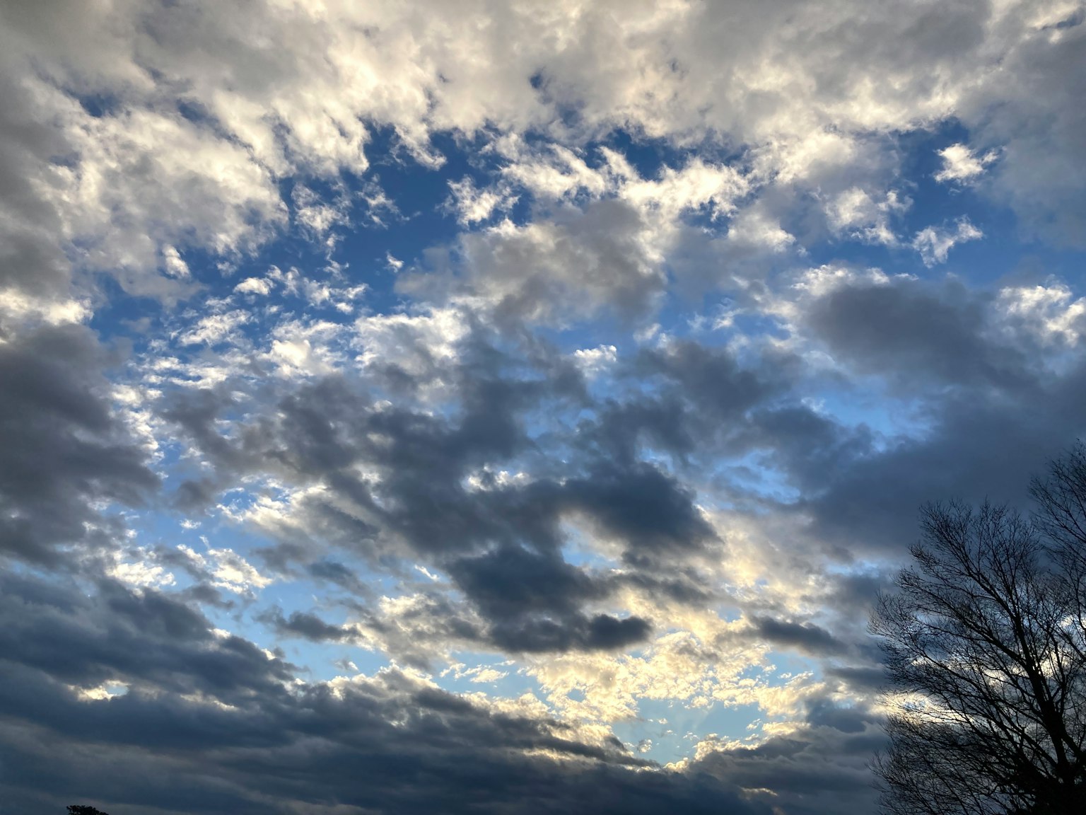 Pemandangan dengan langit biru dan awan putih