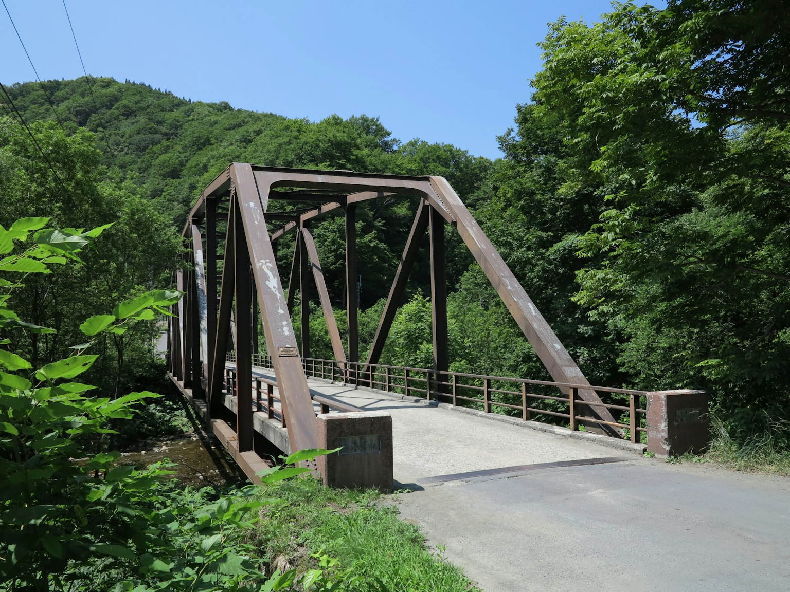 Puente de arco de acero rodeado de vegetación