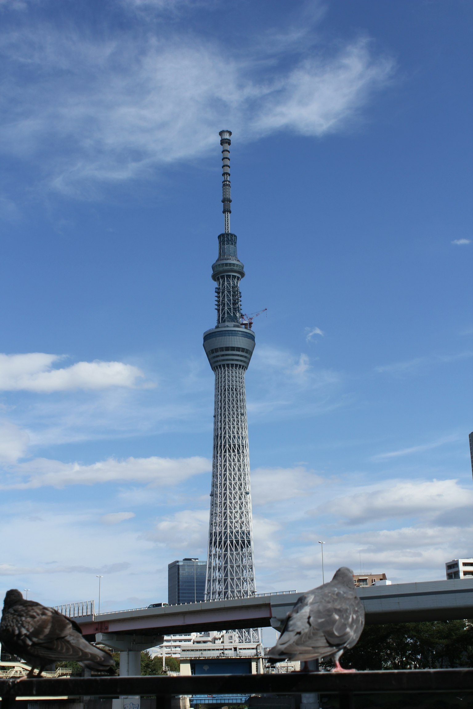 Hình ảnh Tokyo Skytree dưới bầu trời xanh