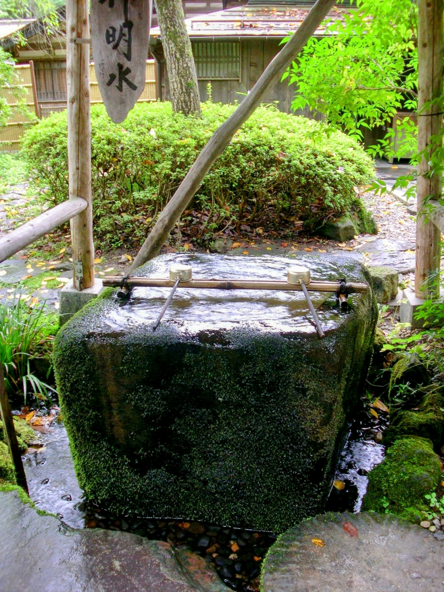 Steinwasserbecken mit fließendem Wasser umgeben von Grün