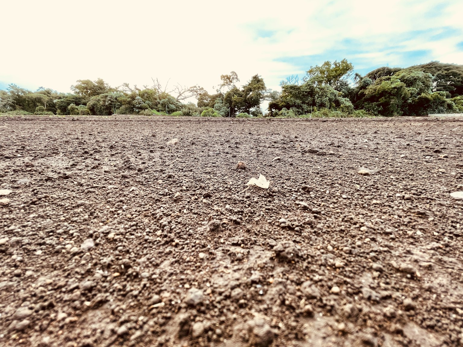 Dry soil surface with surrounding green trees in the background