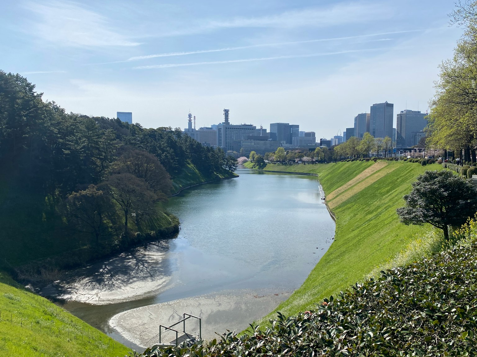 蓝天之下的河流景观，绿色河岸与城市天际线