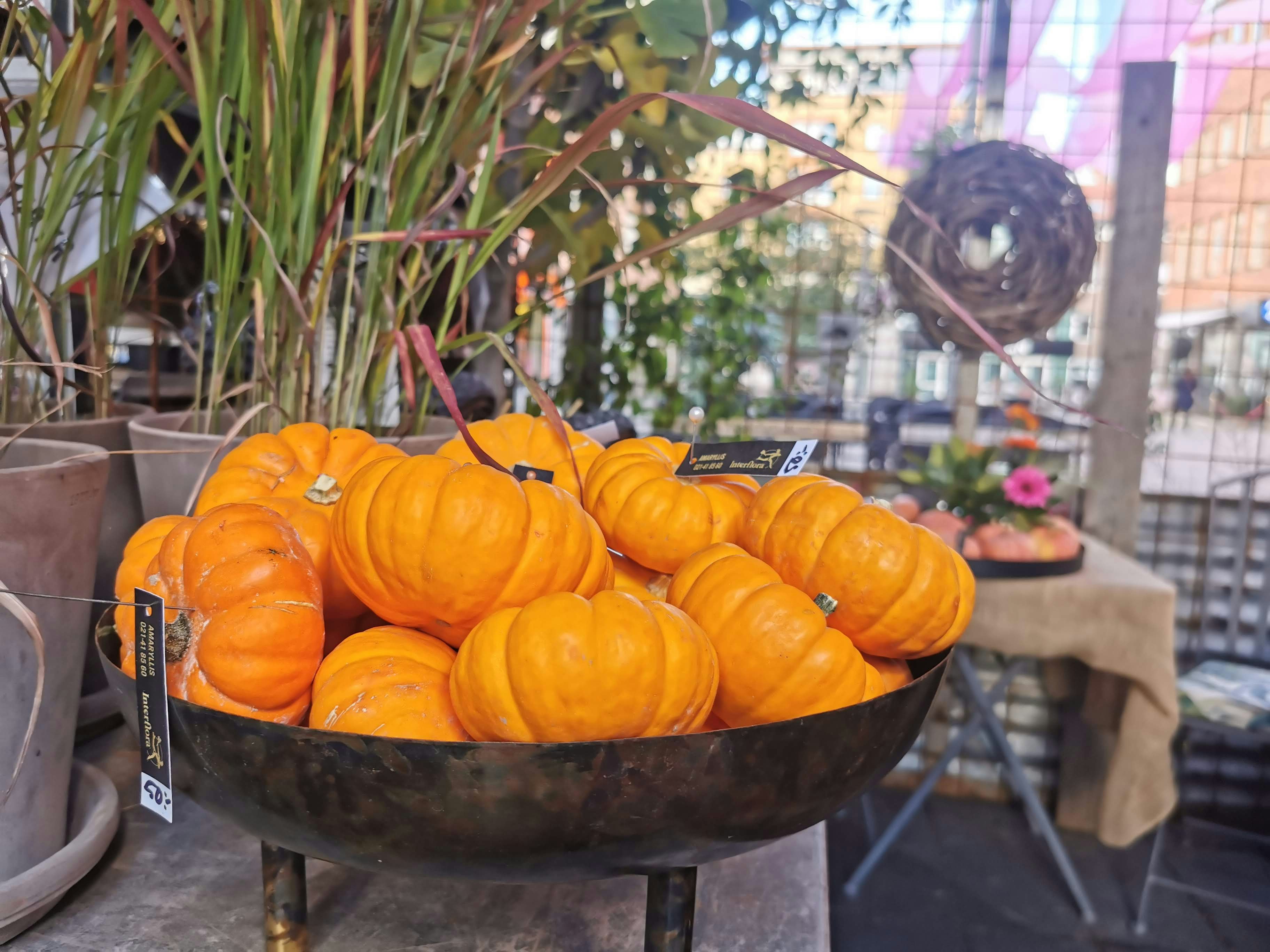 pile of orange pumpkins at an outdoor market stall display