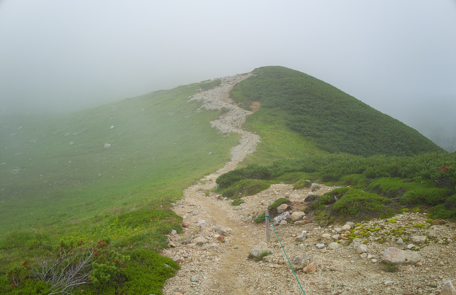 Ein gewundener Erdweg führt einen grünen Hügel, der in Nebel gehüllt ist