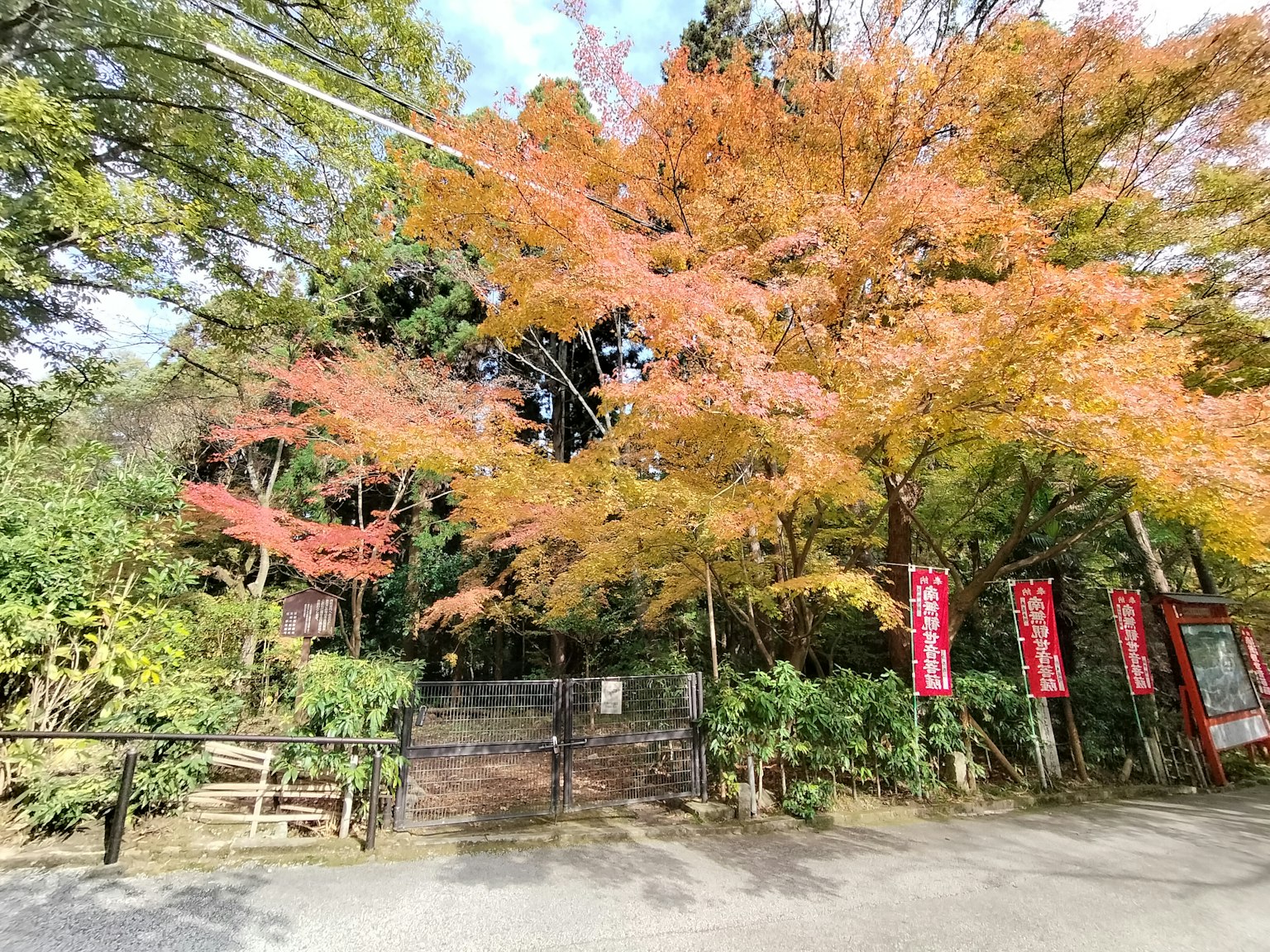 Quiet entrance with autumn foliage and green plants