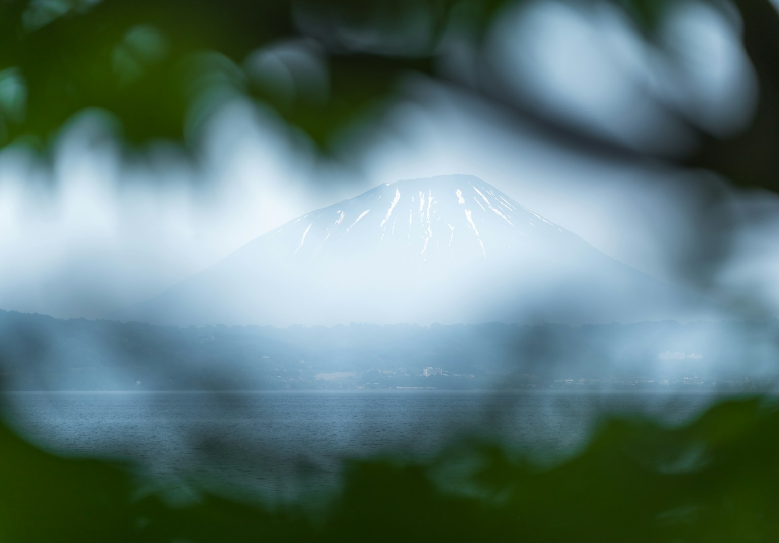 Gunung Fuji sebagian terlihat melalui dedaunan hijau