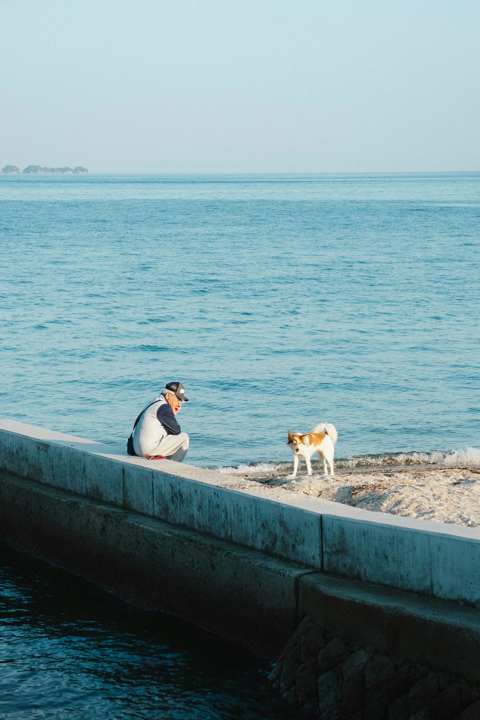 Un hombre jugando con un perro junto al mar