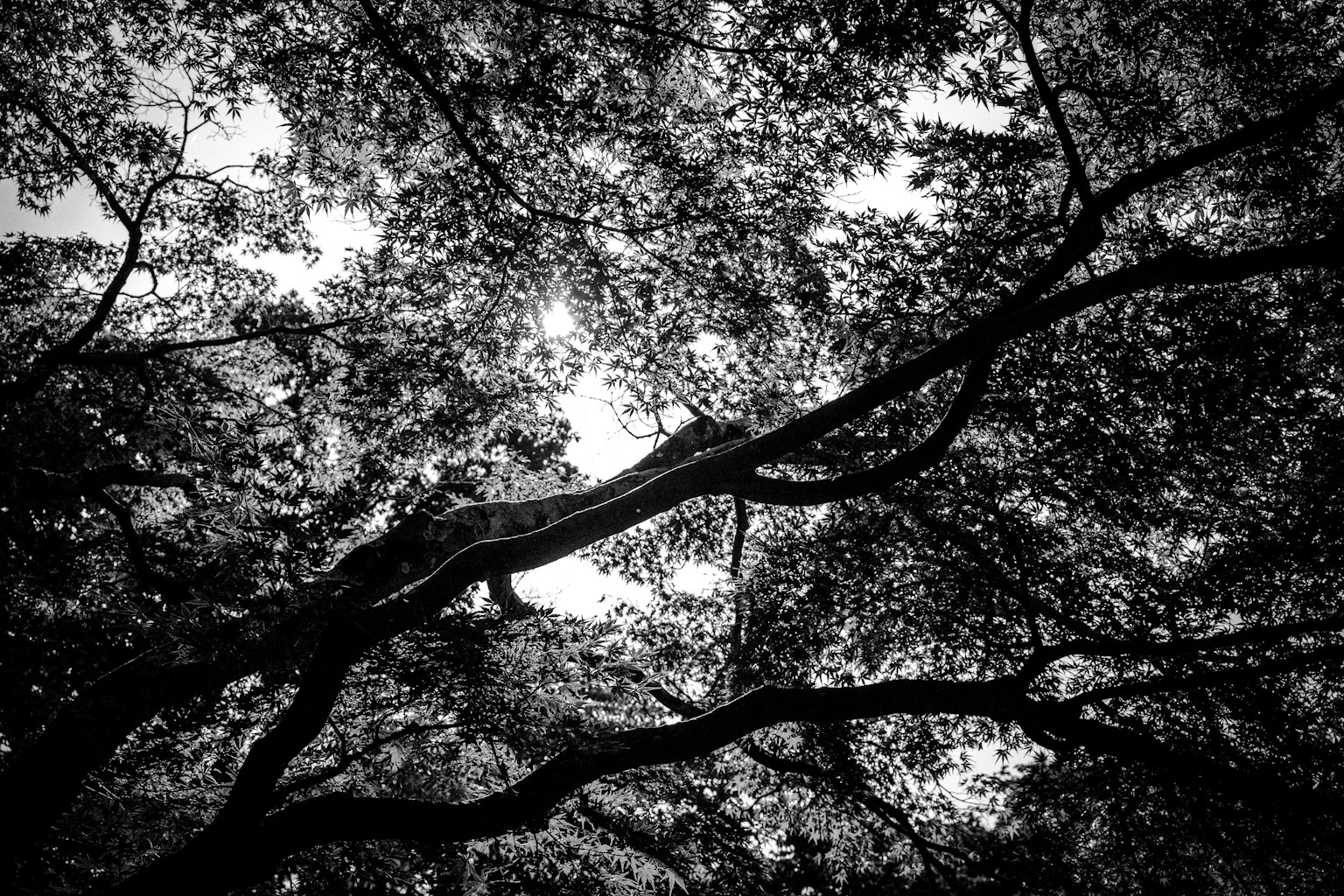 photo-clfOUQfBy0fxWjicRI3A-image