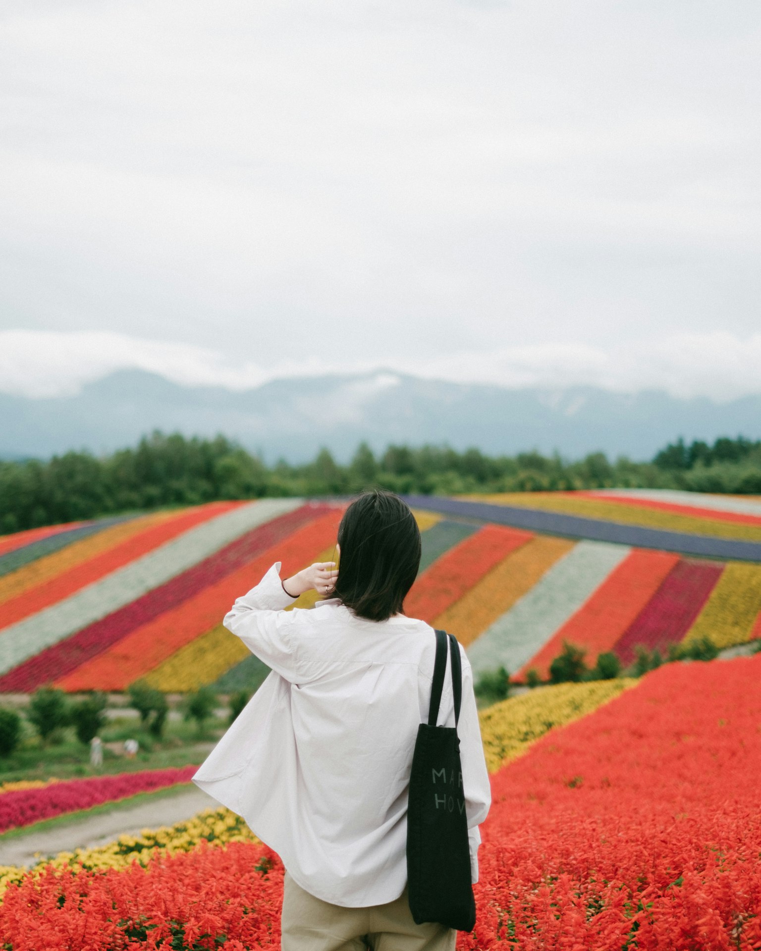 背對色彩斑斕花田的女性
