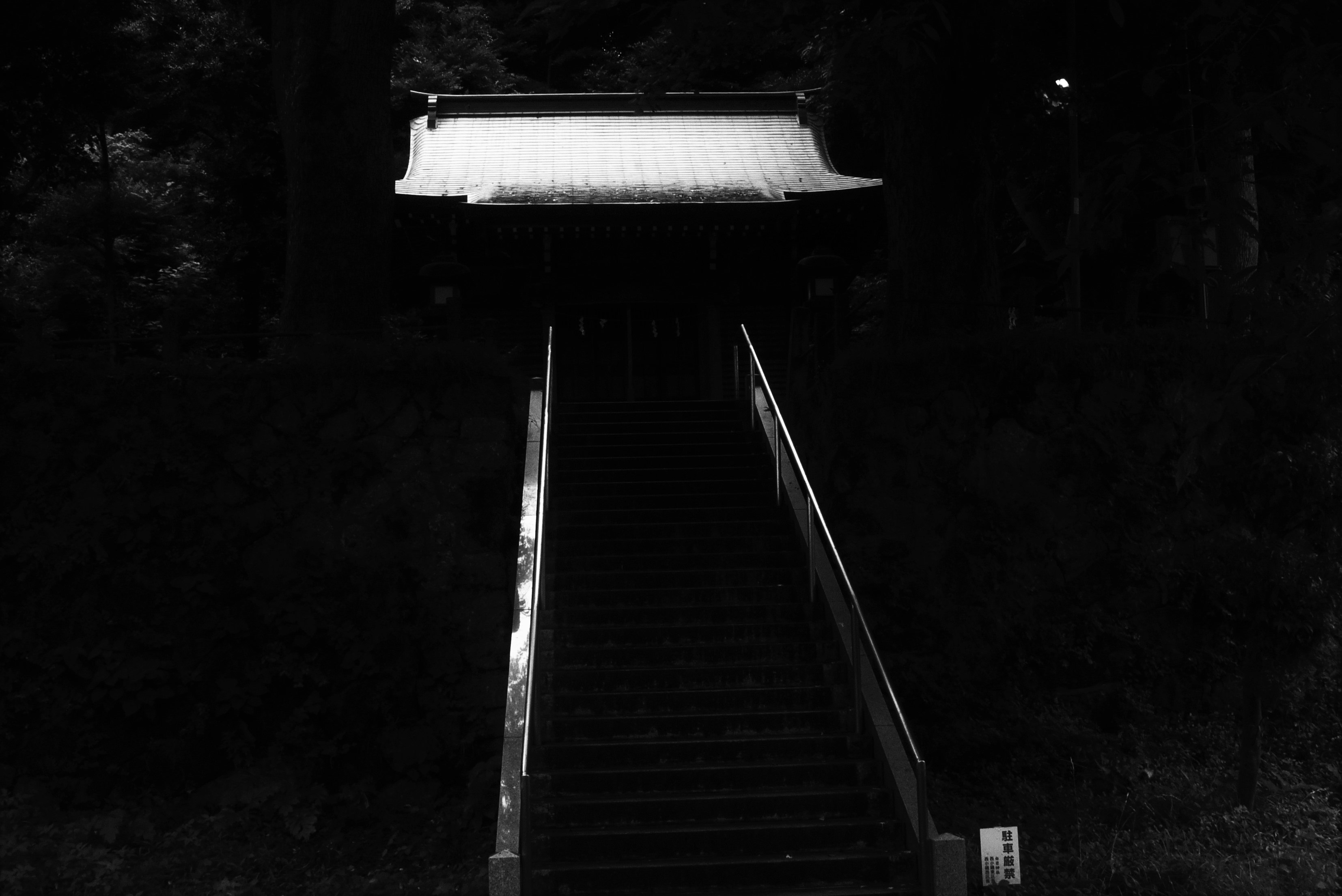 Silhouette of a staircase and gate in a dark forest