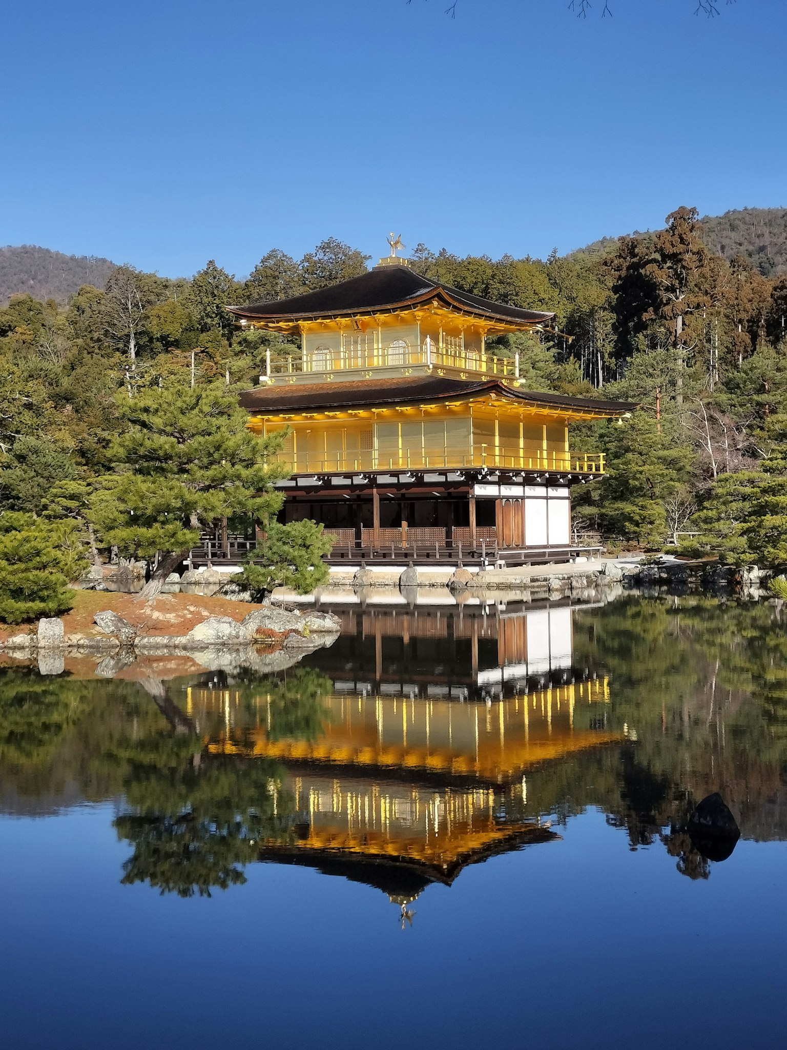 Bella vista del Kinkaku-ji con riflessi