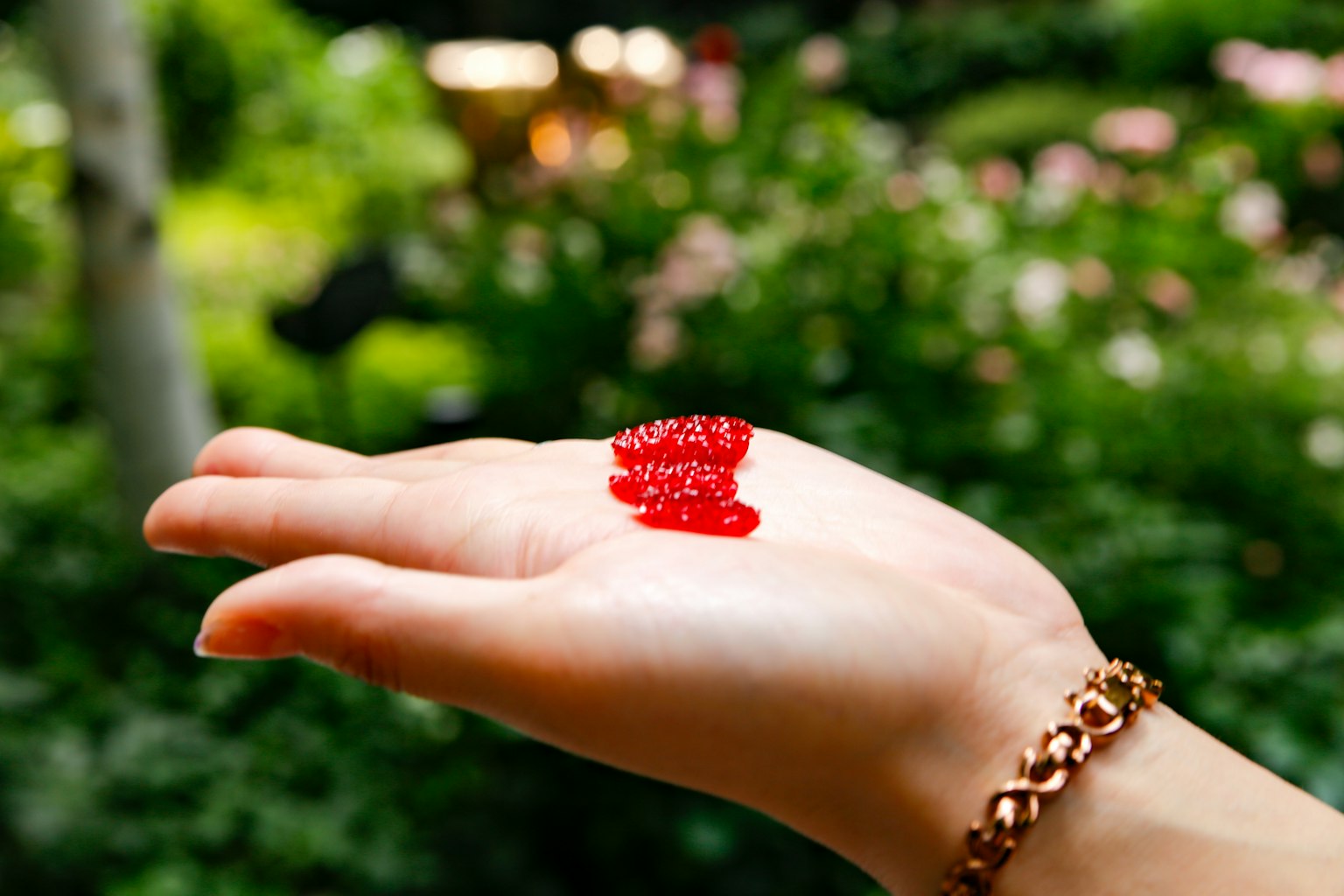 มือที่ถือเจลลี่แดงกับพื้นหลังสวนสีเขียว
