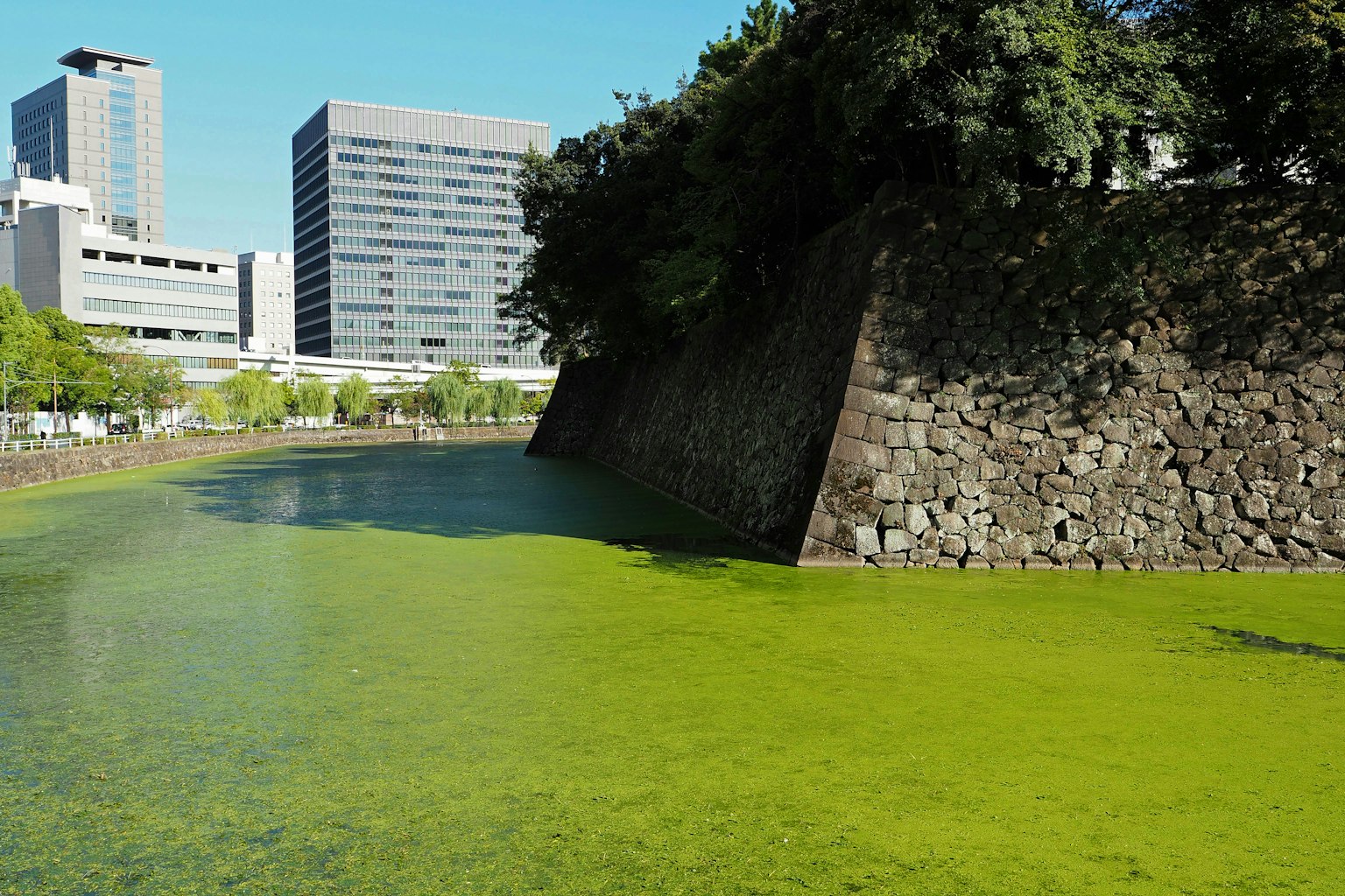 城市风景，绿色水流和古老石壕