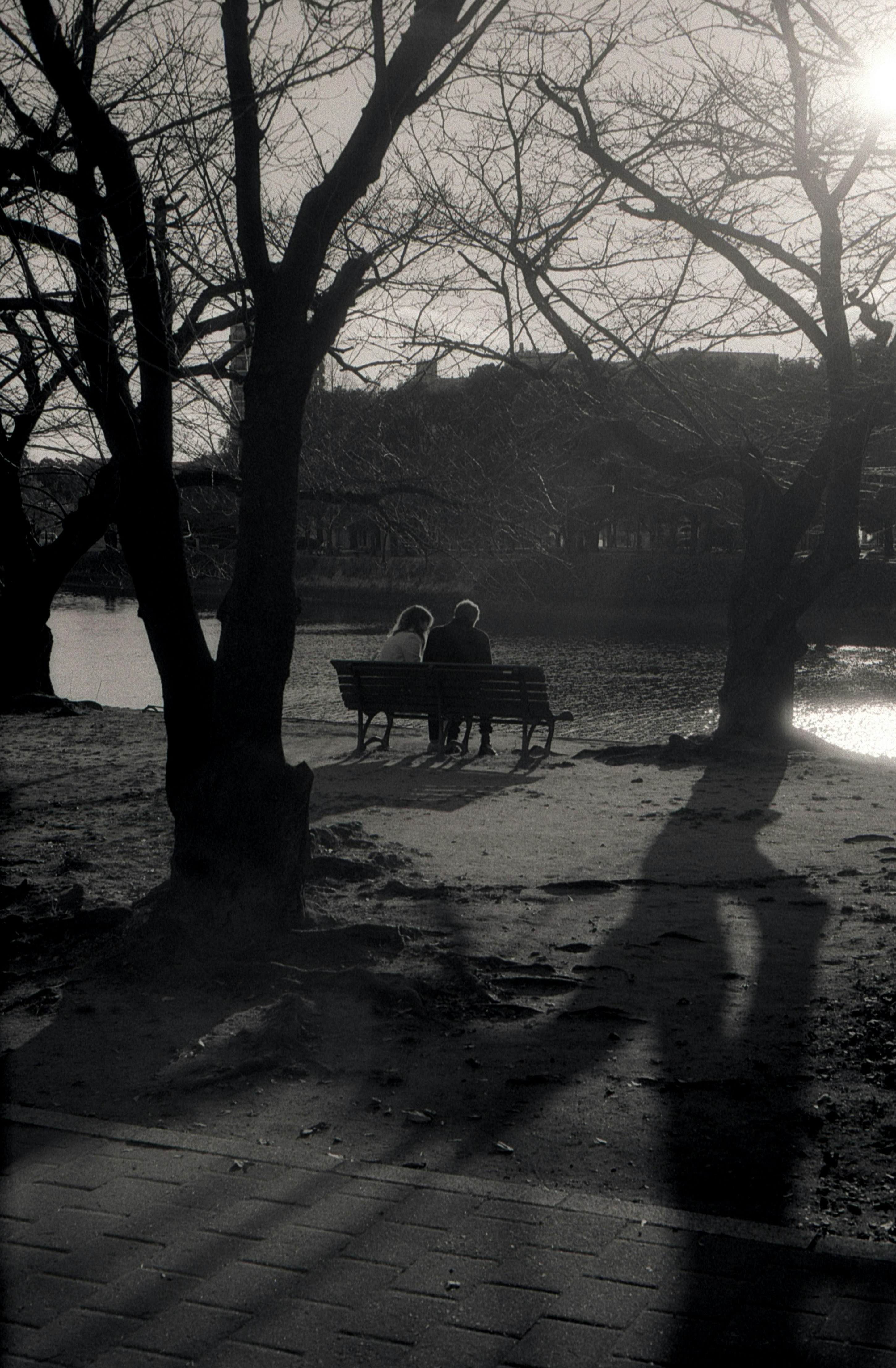 夕映えの公園でベンチに座る恋人たち
