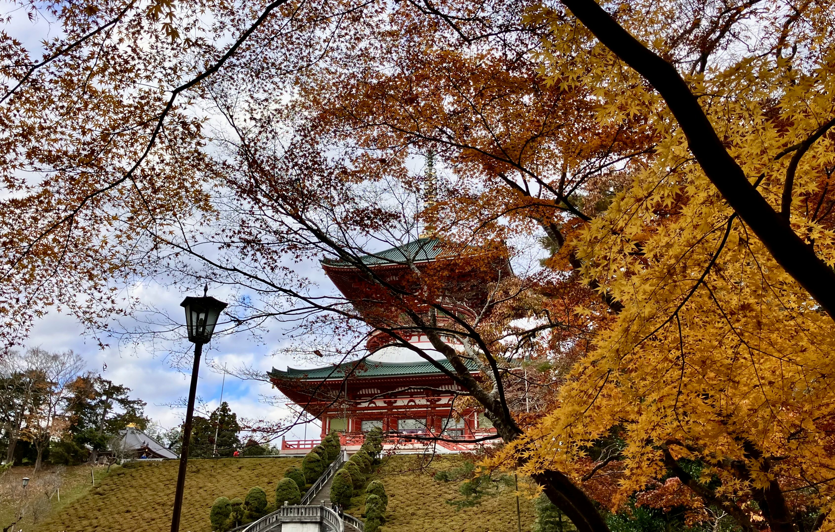平和大塔与成田山新胜寺秋叶映衬的参道景