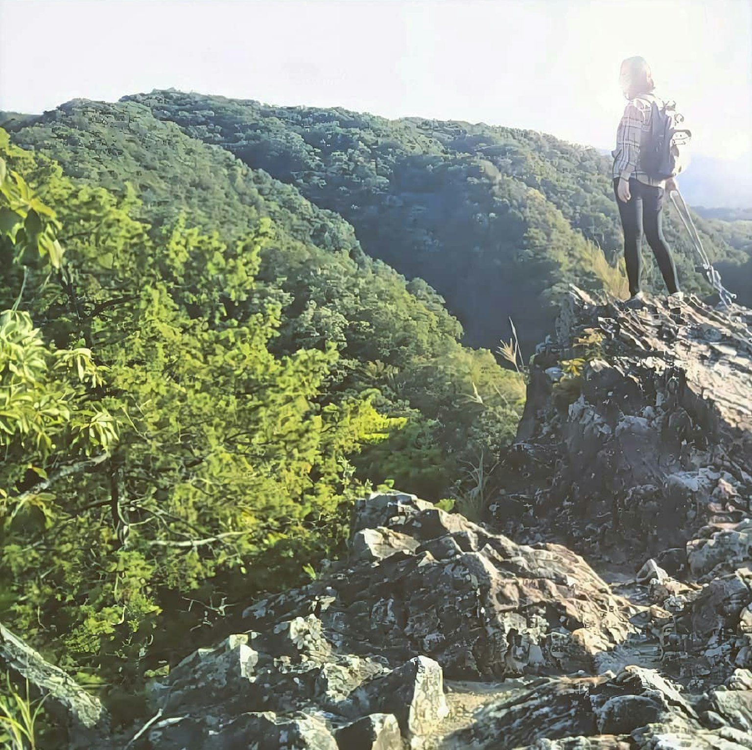远足者站在岩石突出部俯瞰郁郁葱葱的山脉