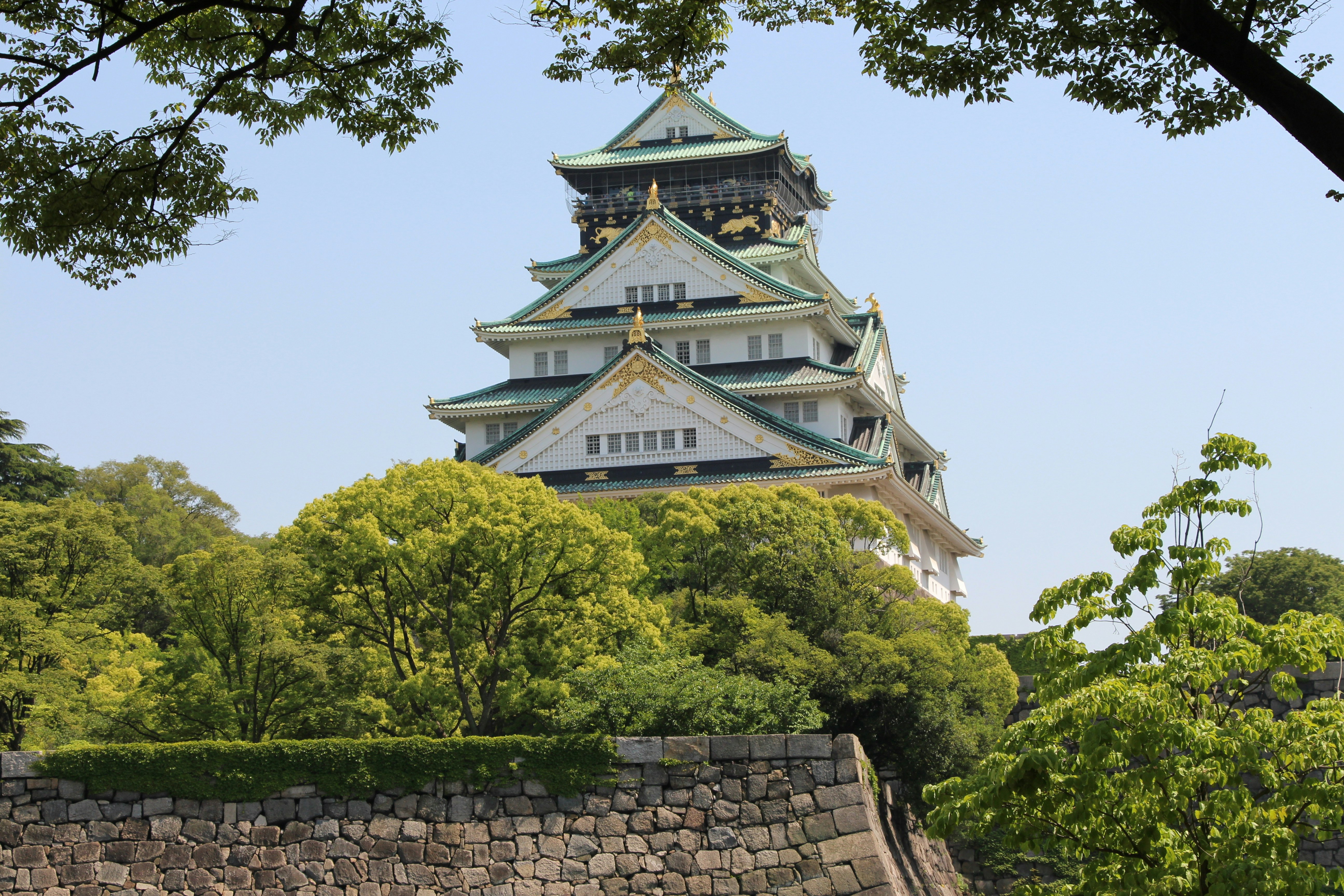 大阪城の天守閣と石垣、緑の木々に囲まれた城郭の景観