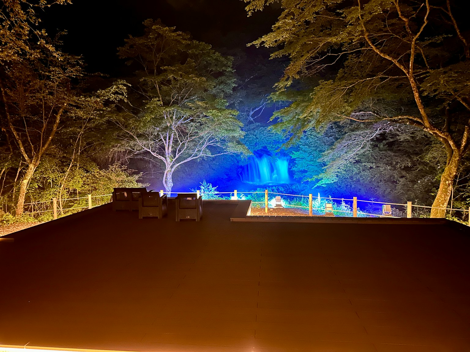 Pemandangan malam pohon dan taman yang diterangi dengan cahaya biru