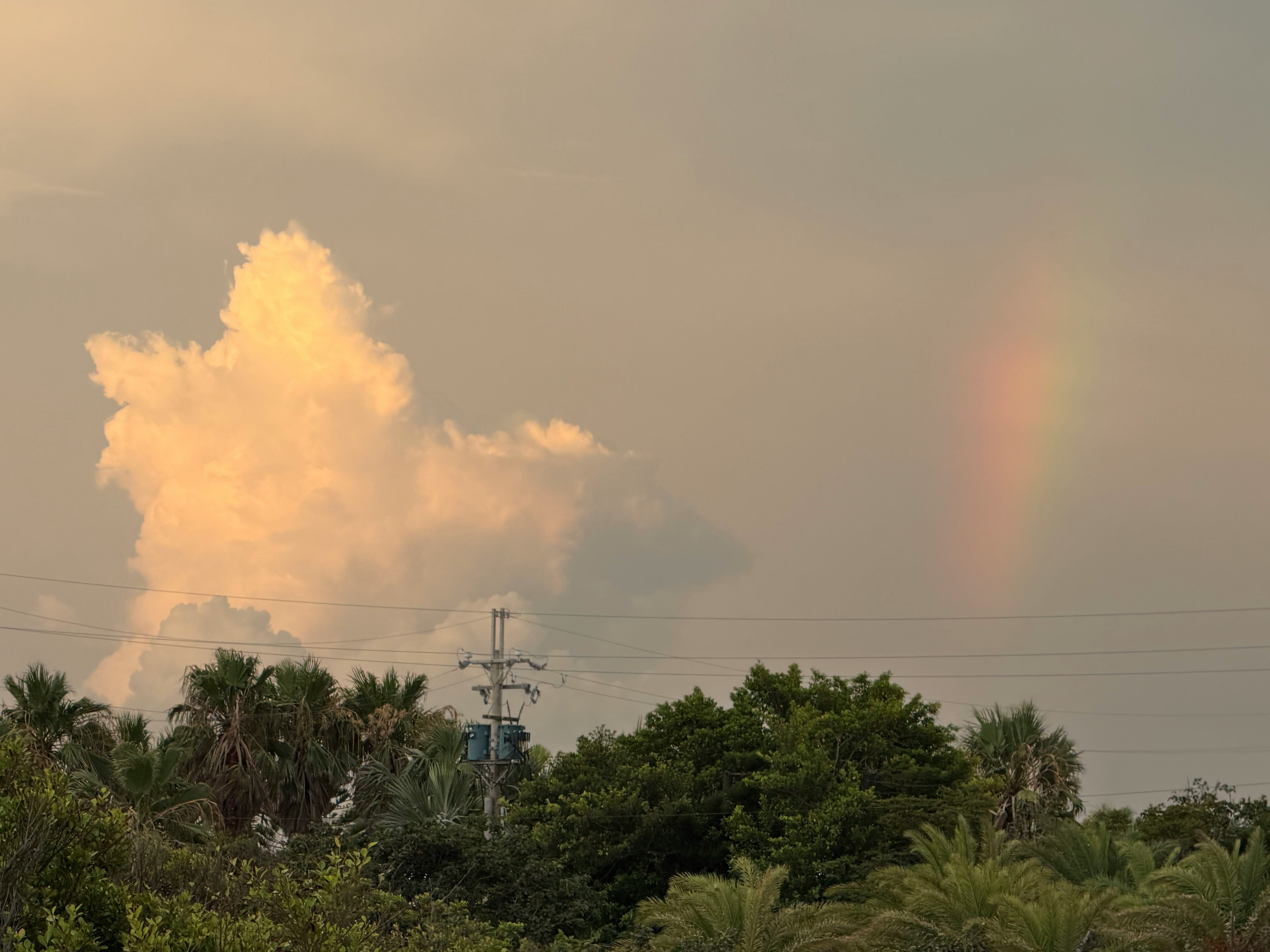 夕空に浮かぶ大きな雲と虹のかかる熱帯の木々