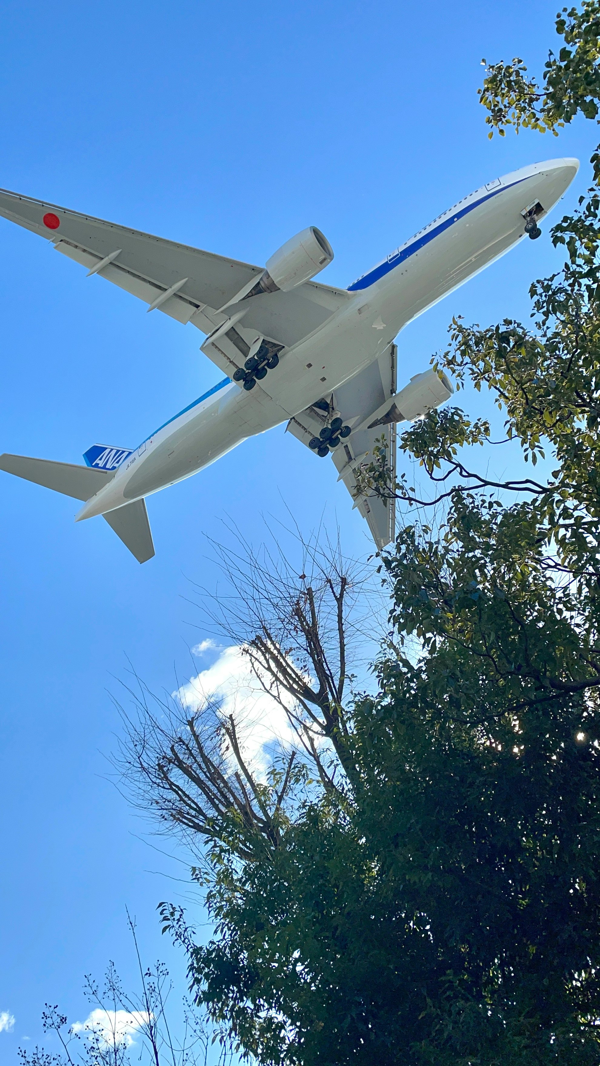 青空の下を飛ぶ旅客機