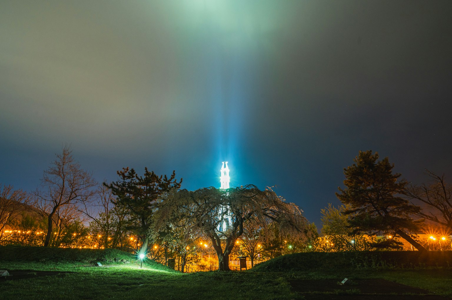 Kirschbaum beleuchtet unter einem Nachthimmel mit einem blauen Lichtstrahl