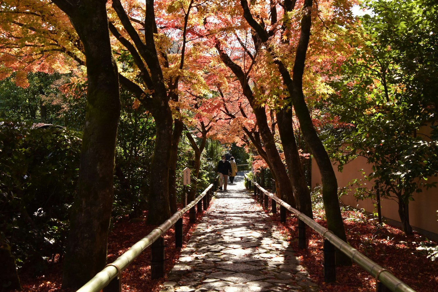 A serene pathway lined with autumn-colored trees