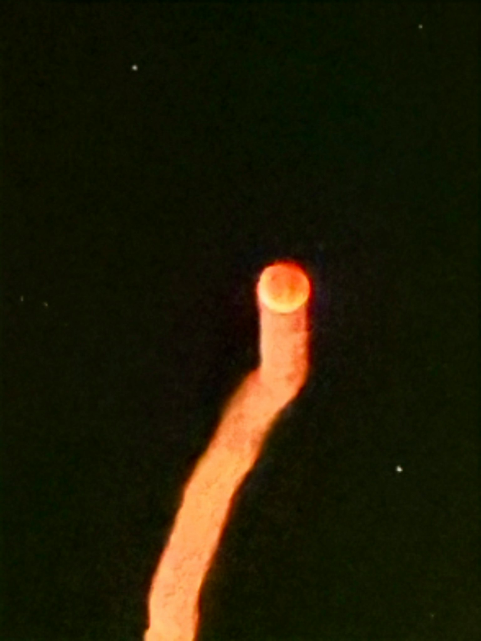 Eine leuchtende rote Kugel mit einem Lichtschweif vor dunklem Hintergrund