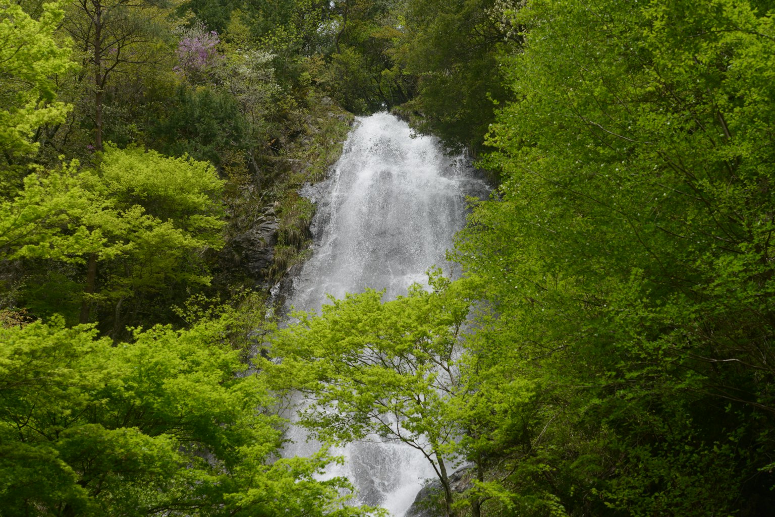 Beautiful waterfall surrounded by lush green trees