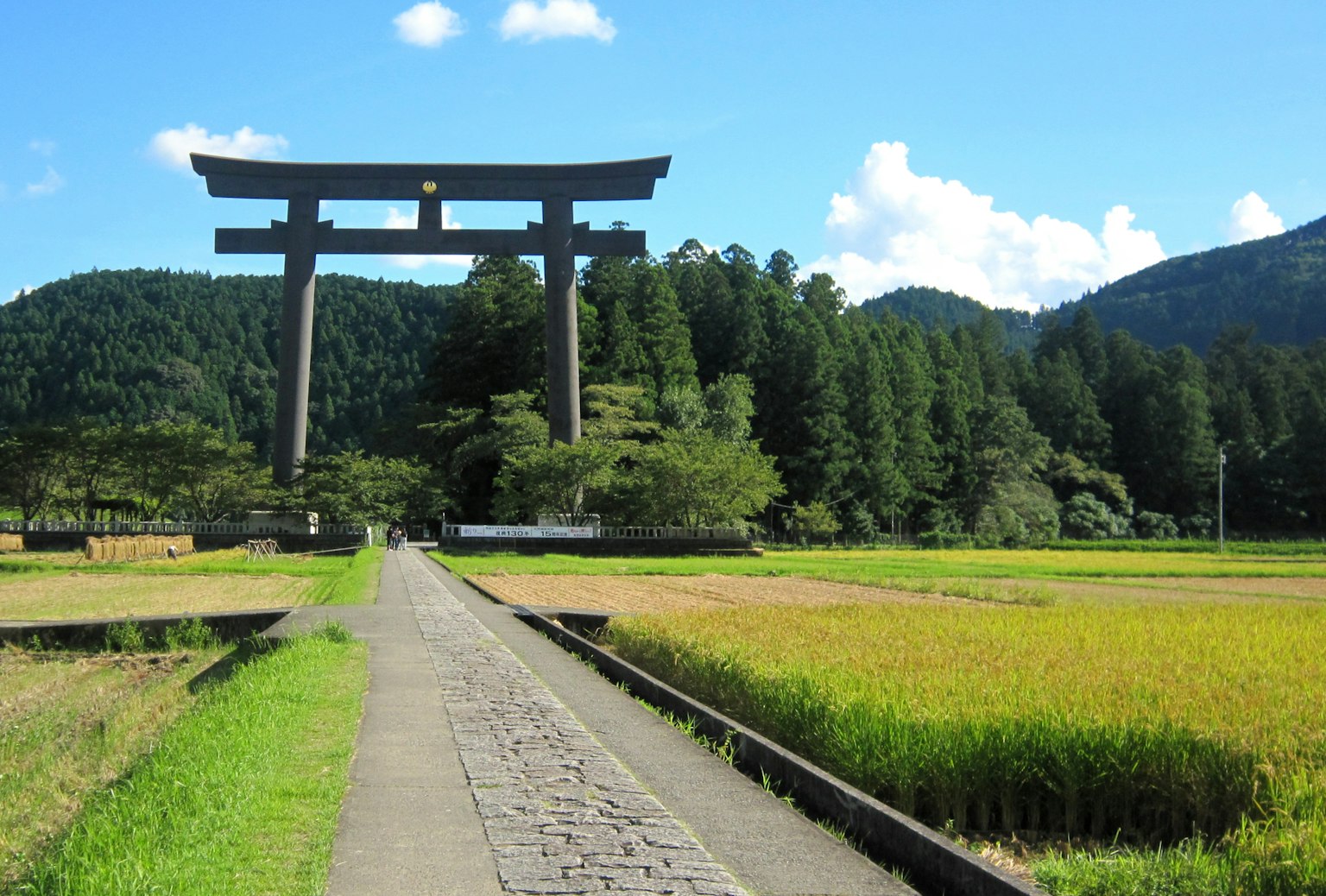 Ein großes Torii unter blauem Himmel umgeben von üppigen Reisfeldern