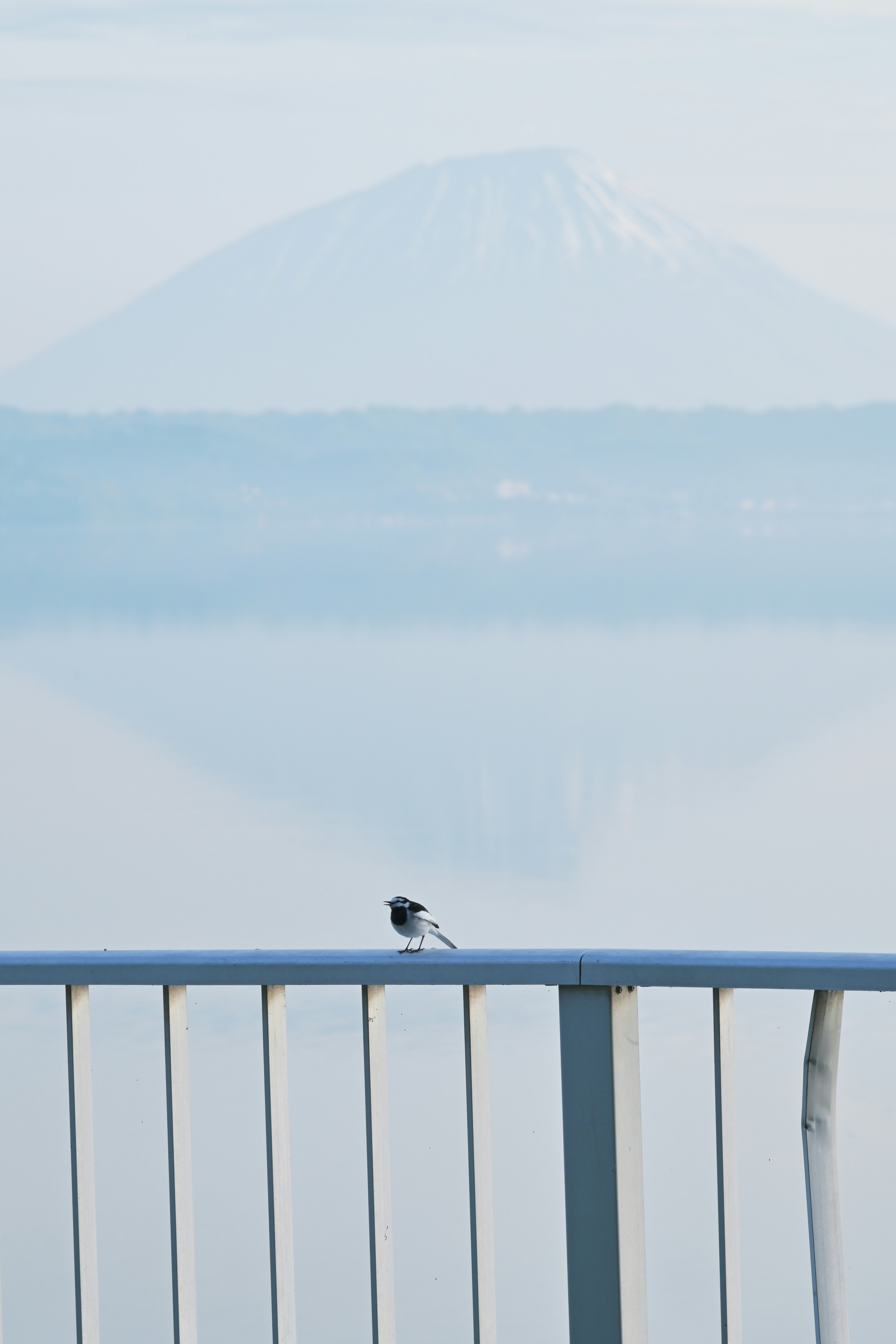 湖畔の手すり越しに羊蹄山を望む初夏の景色
